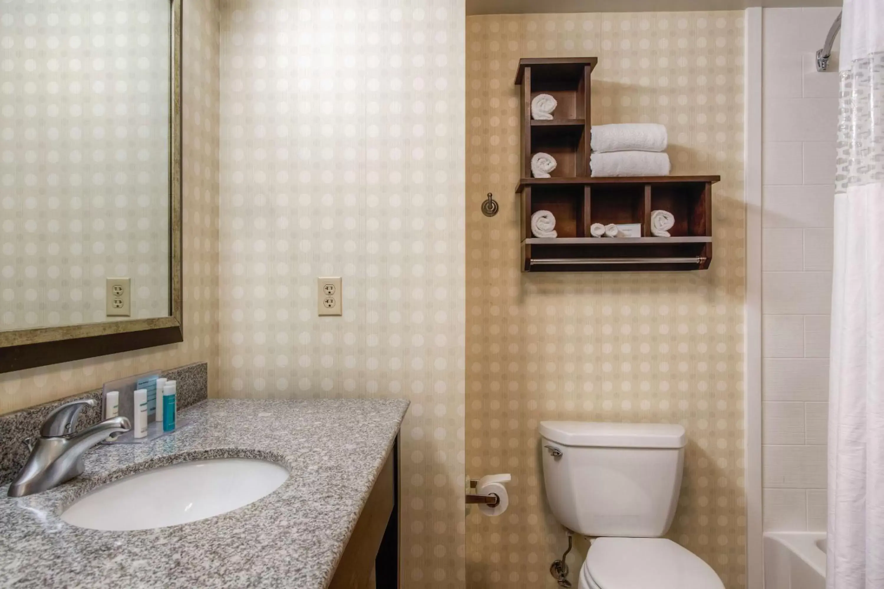 Bathroom in Hampton Inn & Suites Detroit/Airport Romulus