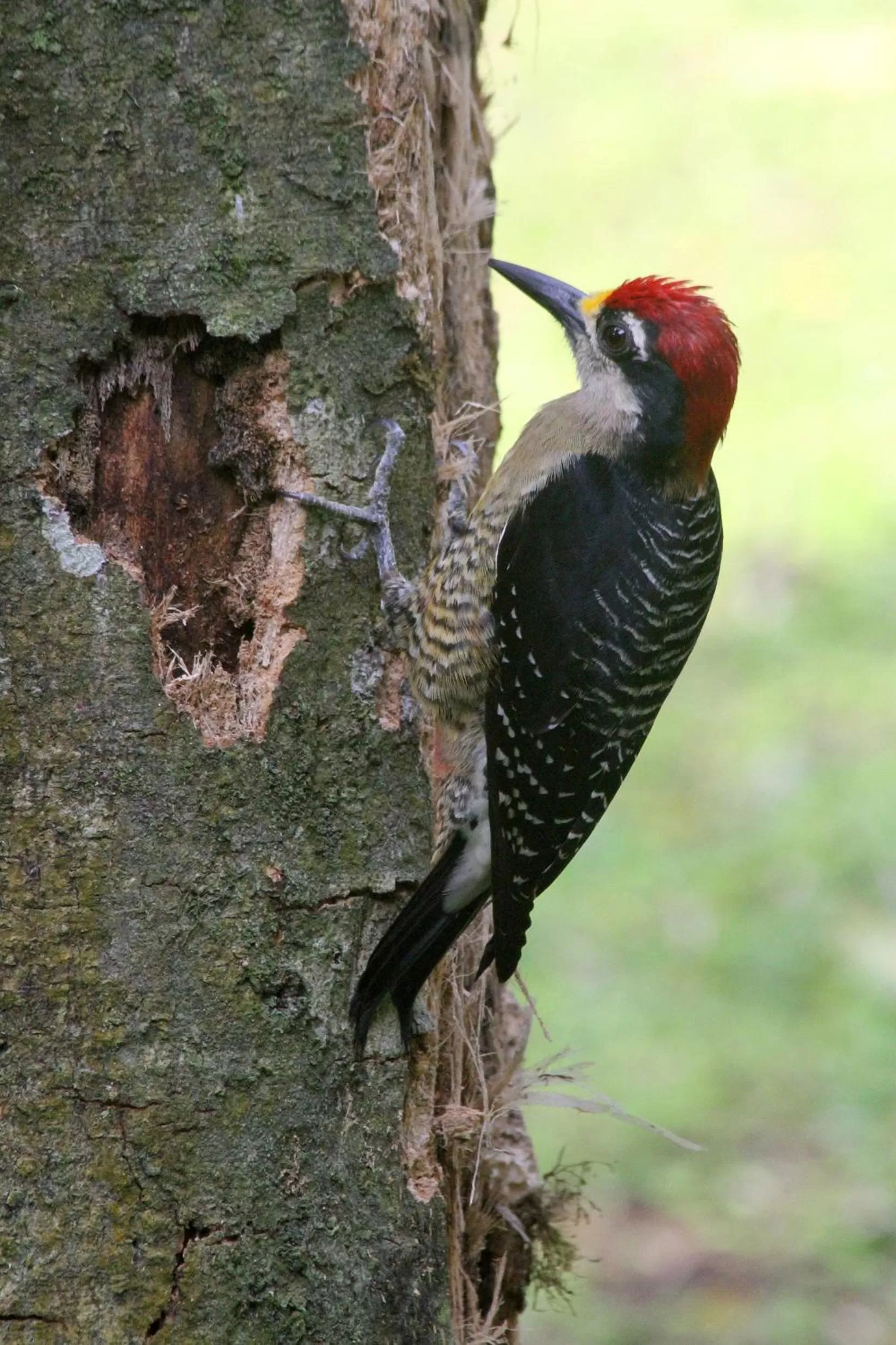 Bird's eye view in Hotel Kokoro Mineral Hot Springs