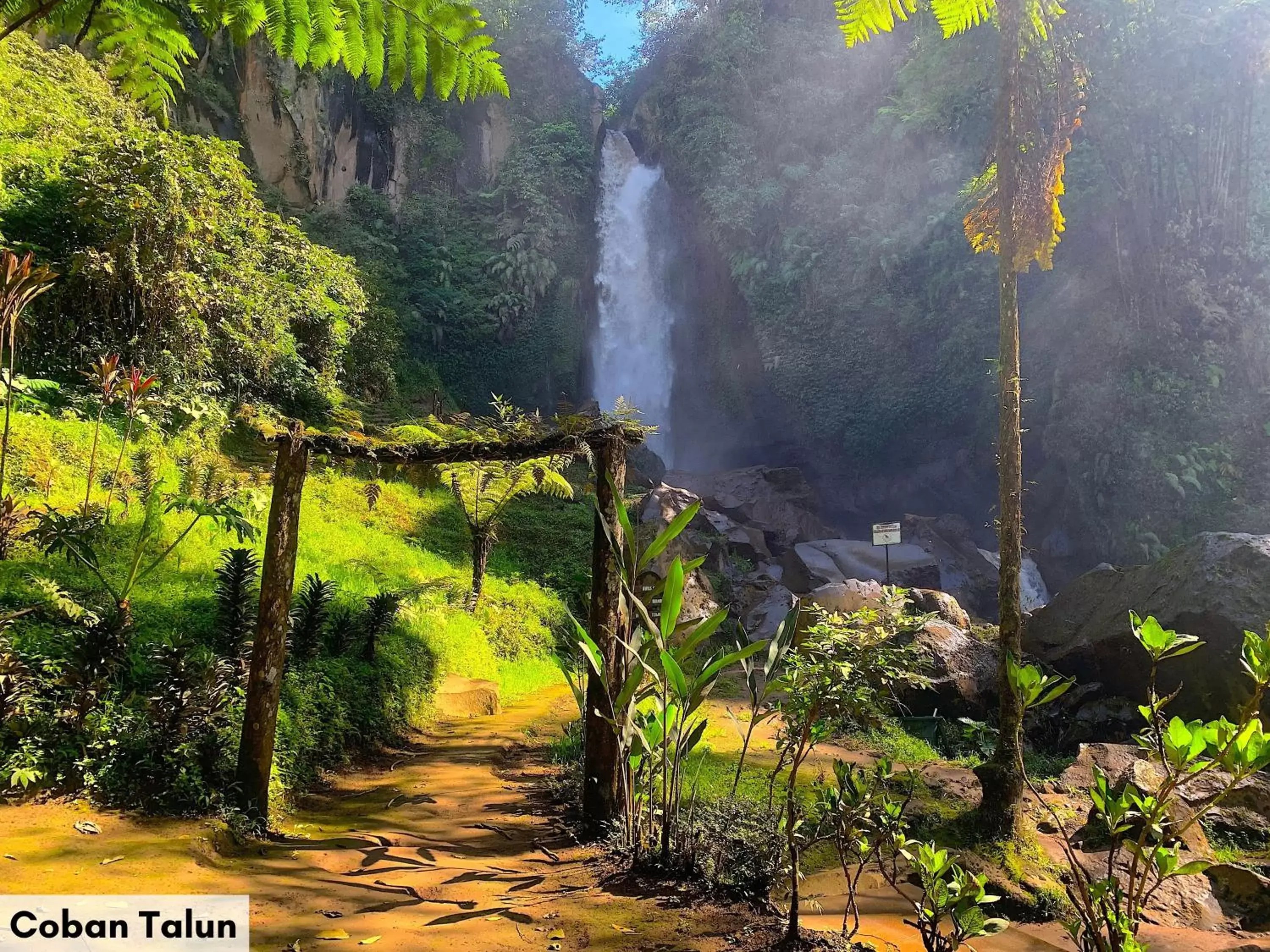 Natural landscape, Garden in Swiss-Belinn Malang