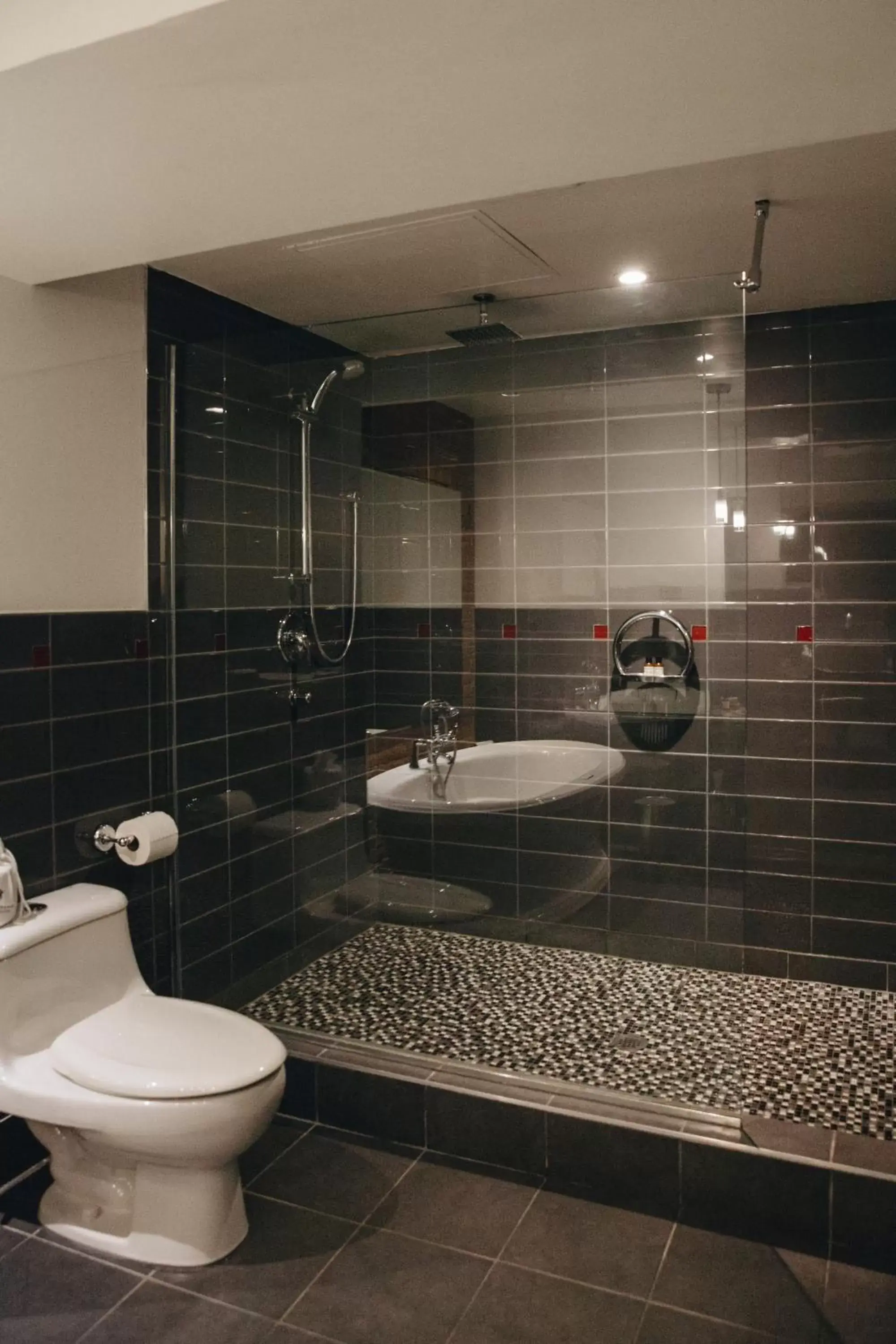 Shower, Bathroom in Hotel Place D'Armes