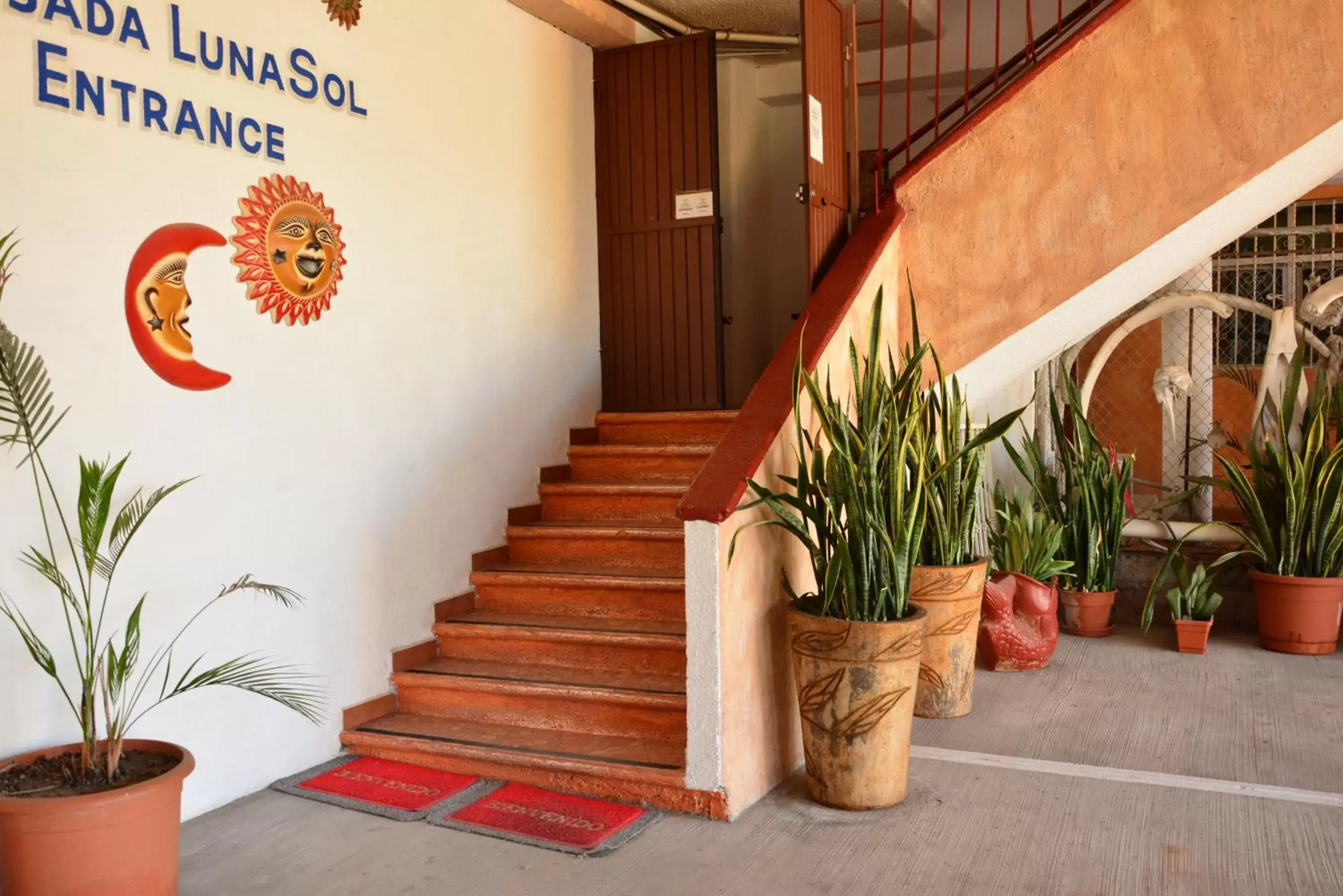 Lobby or reception in Hotel Posada Luna Sol