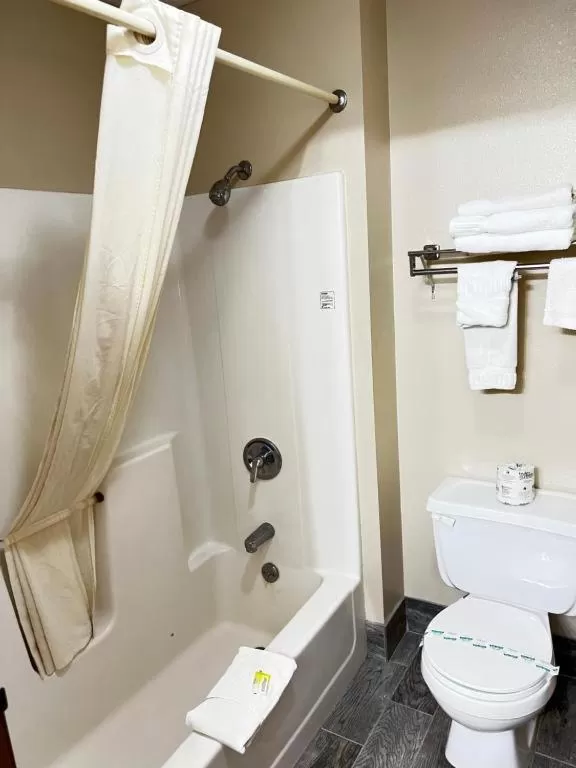 Designer Inn and Suites