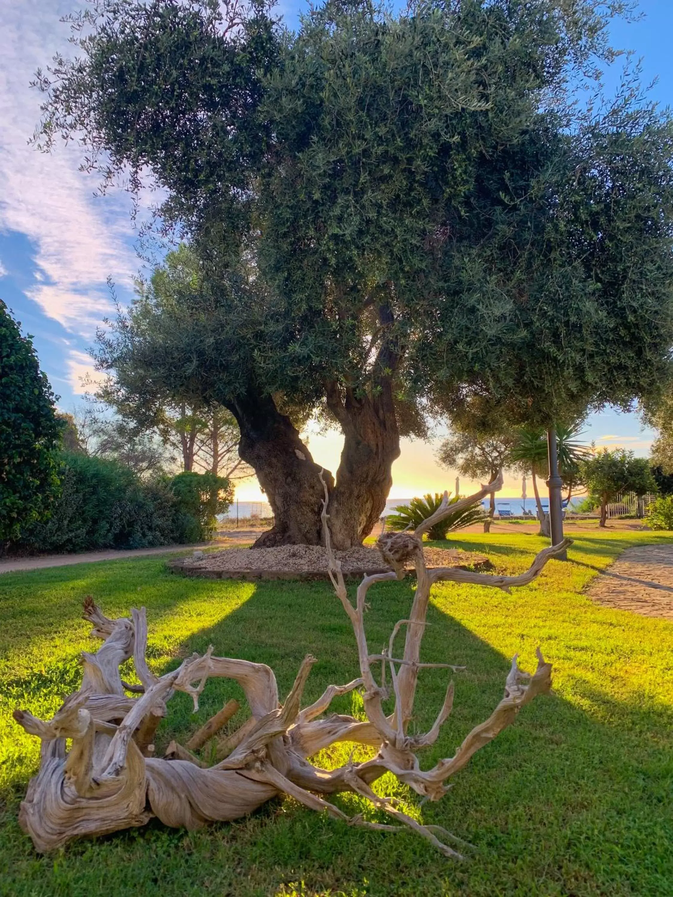 Garden in Suites Voce del Mare