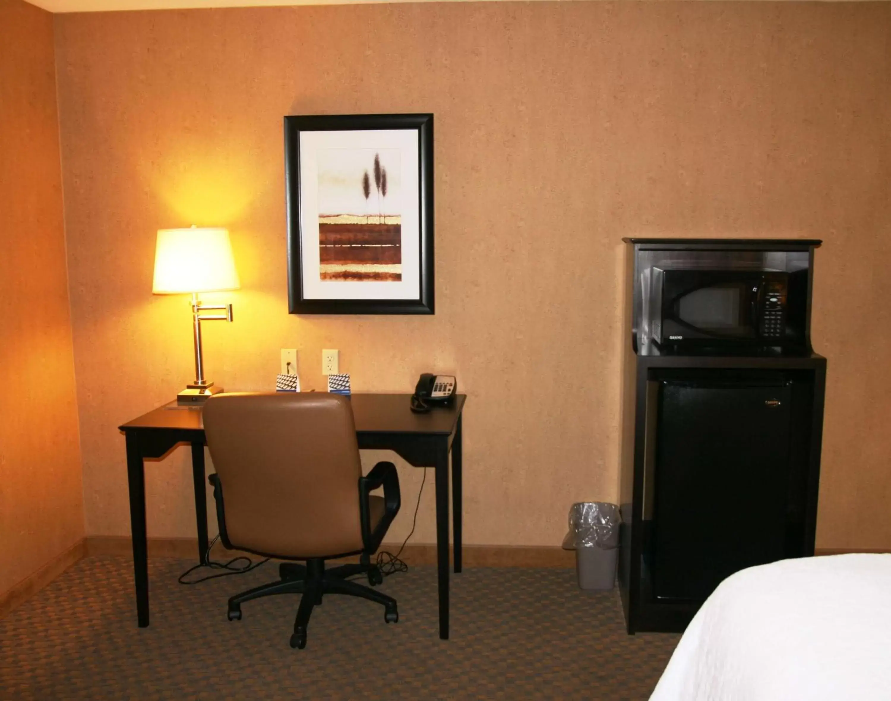 Bedroom, TV/Entertainment Center in Hampton Inn and Suites Barstow