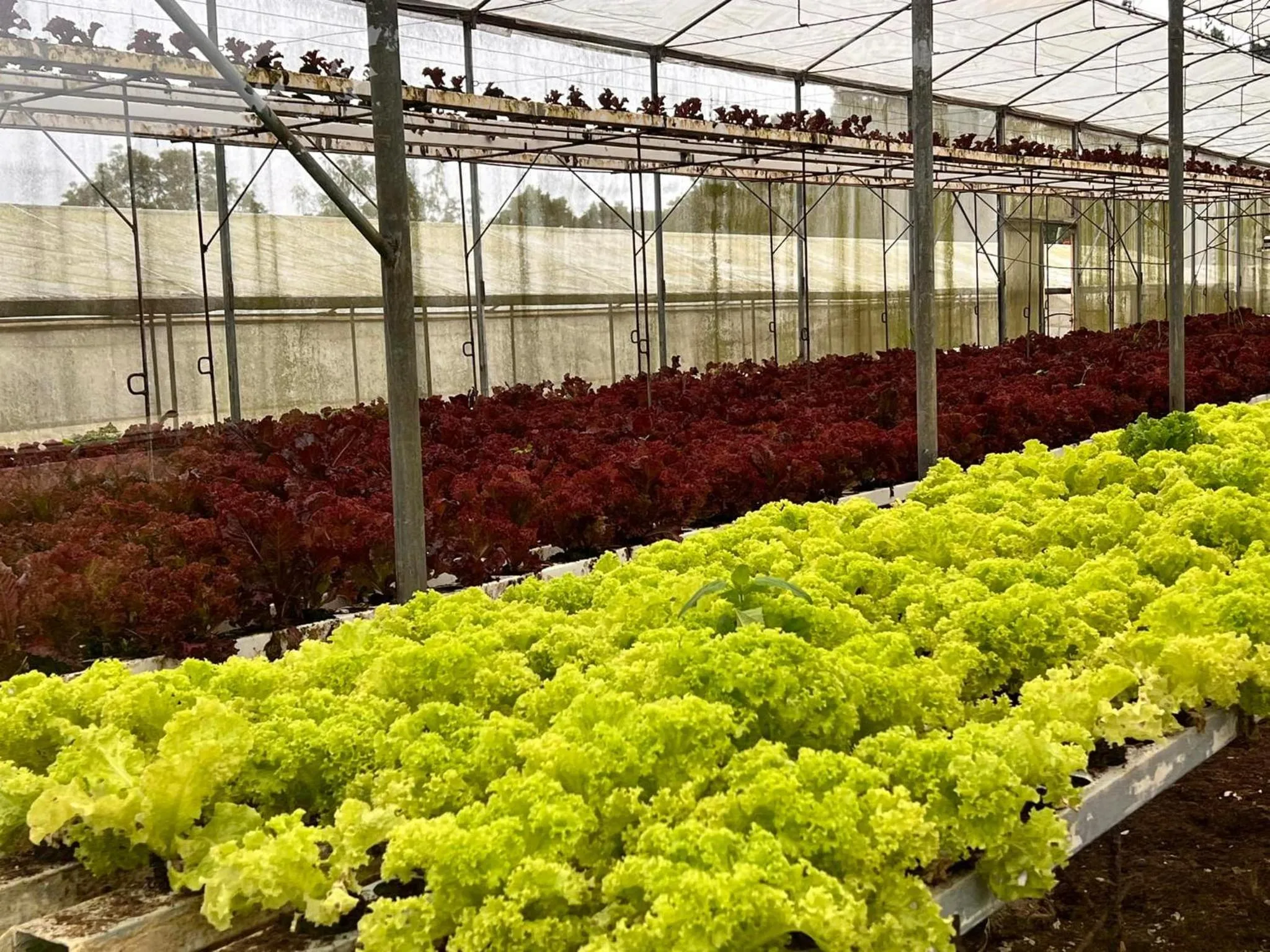 Garden in Eden Nature Park and Resort