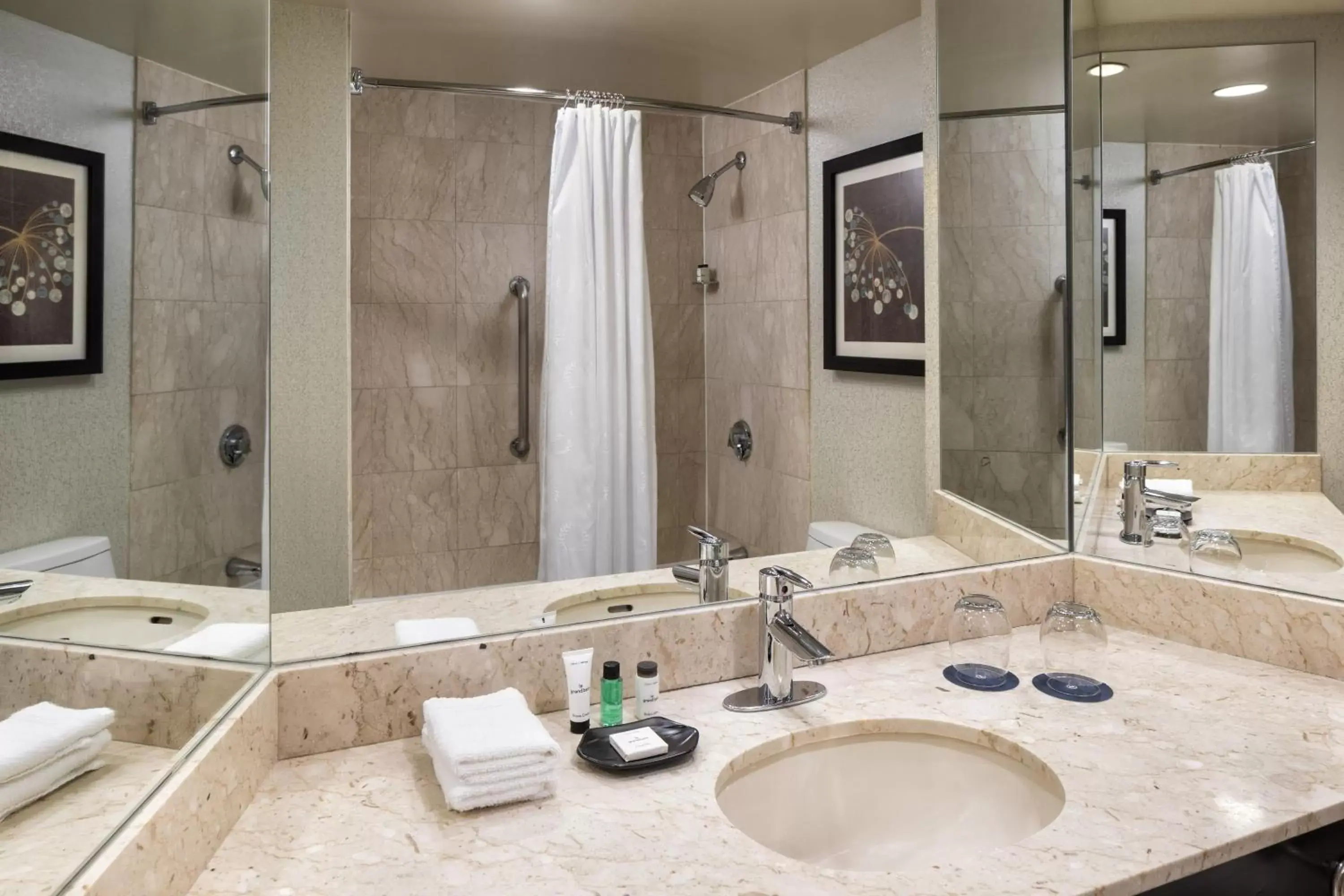 Bathroom in Sheraton Suites Chicago O'Hare