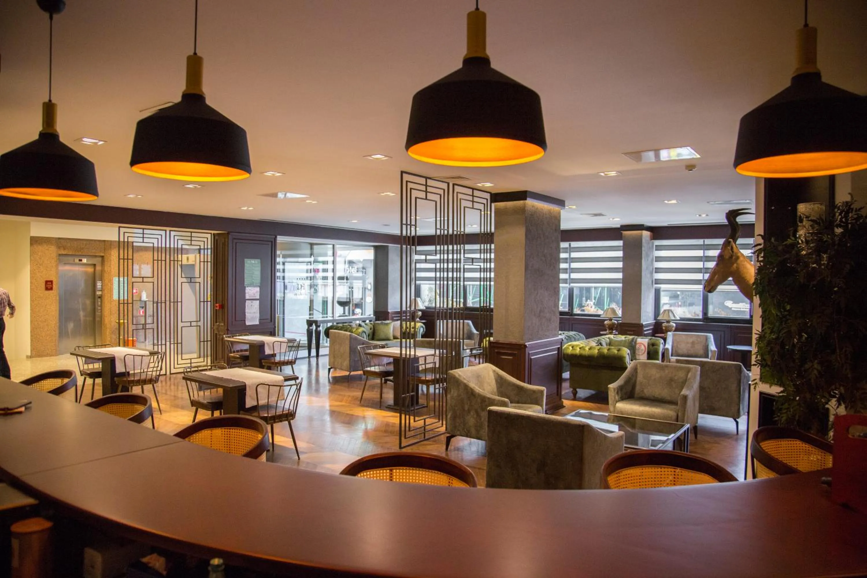 Lounge or bar in Dila Hotel