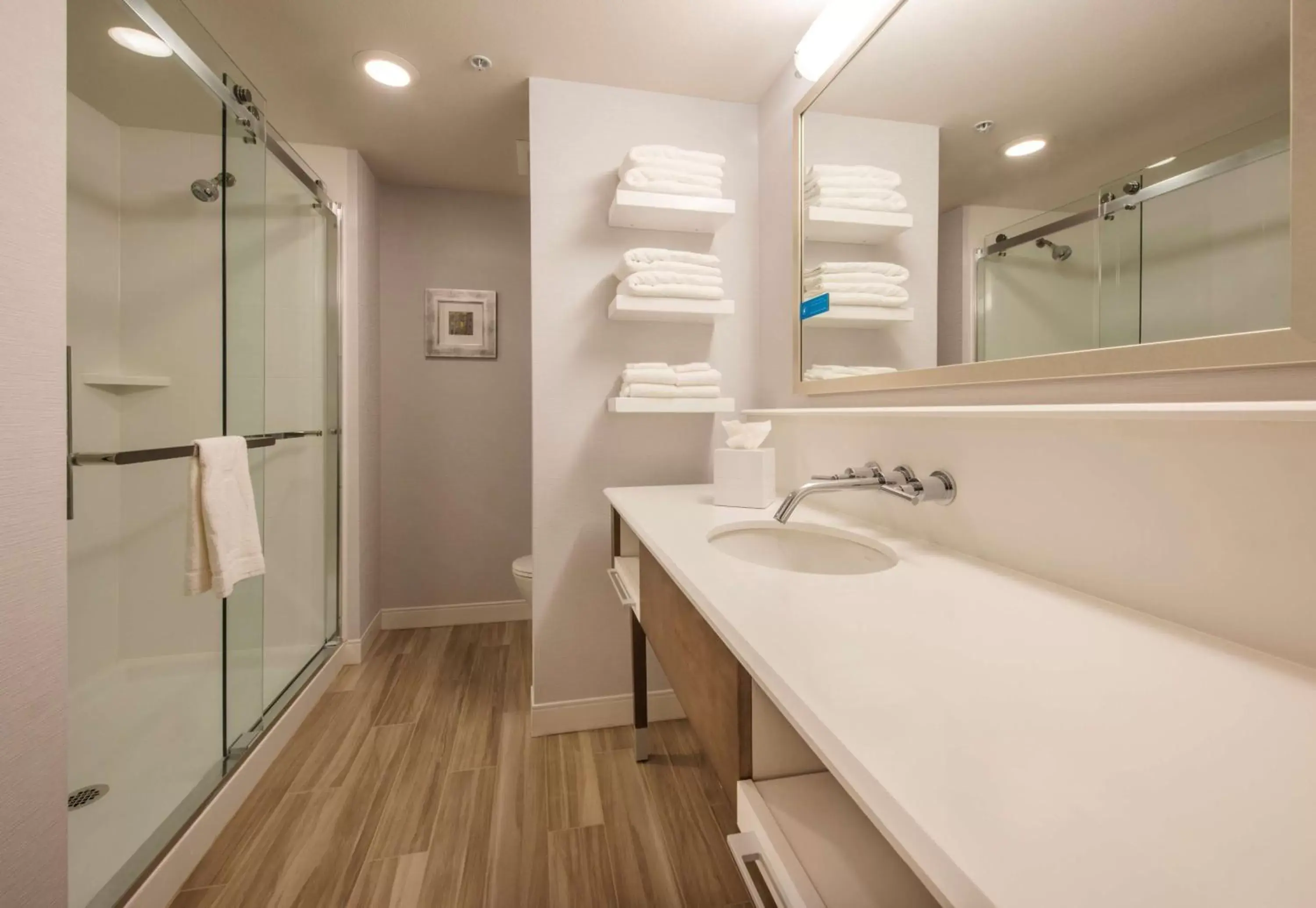 Bathroom in Hampton Inn & Suites Seattle/Redmond Wa