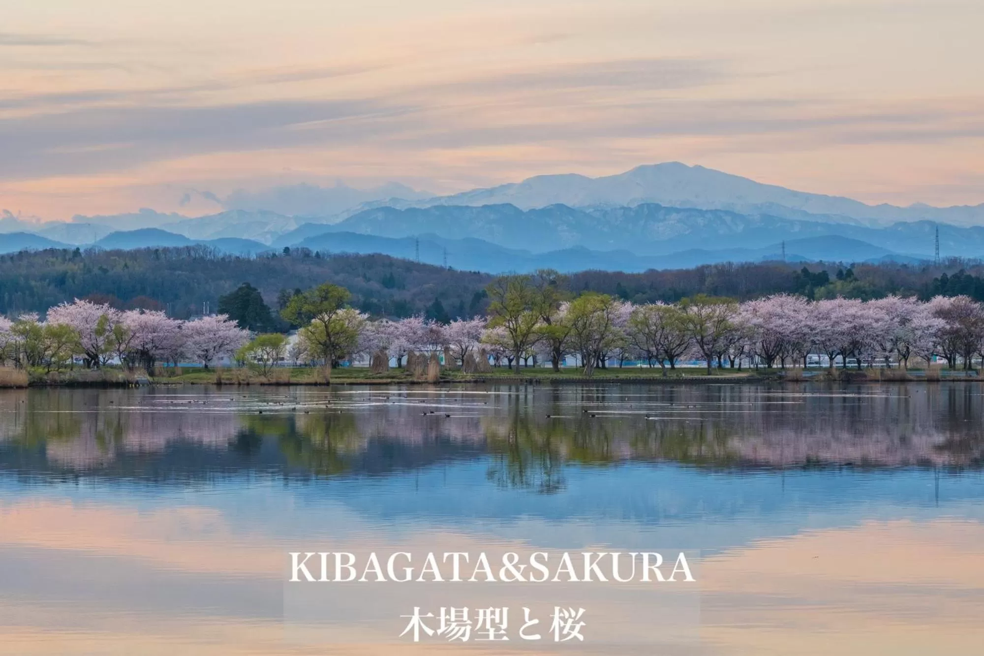 Nearby landmark in Henn na Hotel Komatsu Ekimae