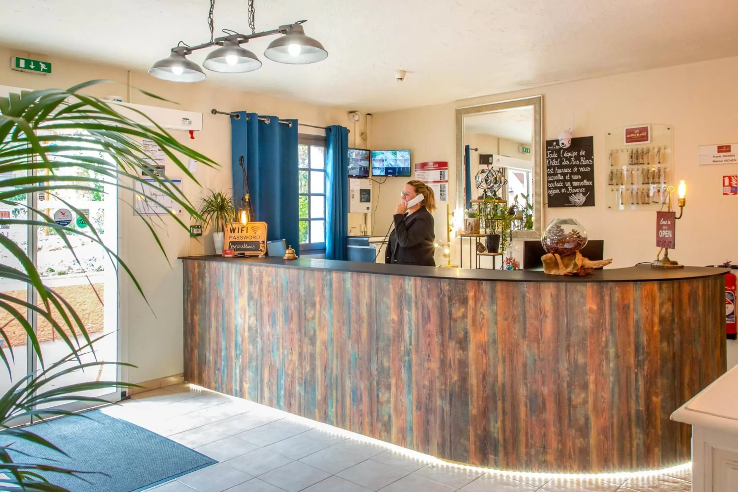 Lobby/Reception in Les Pins Blancs en Provence