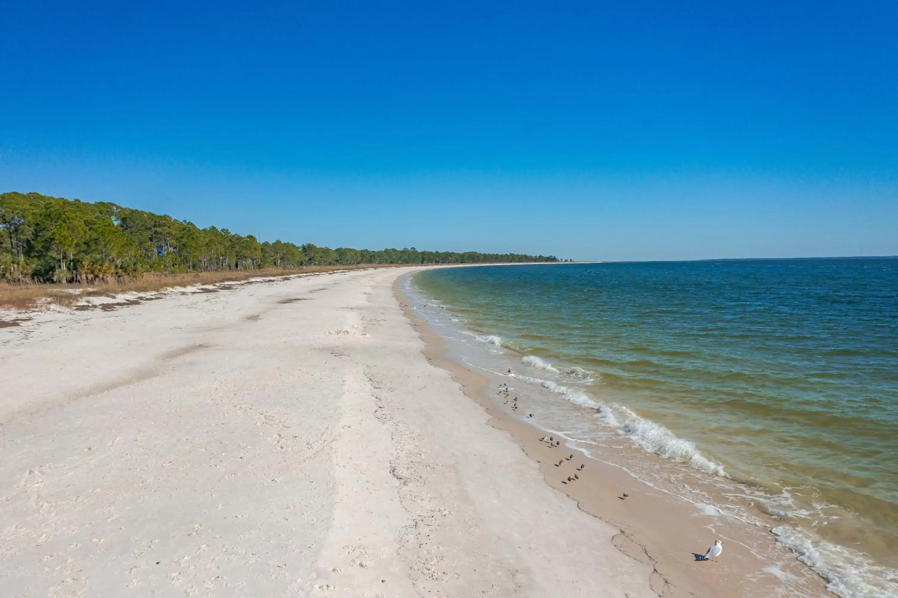 Beach in franklin inn