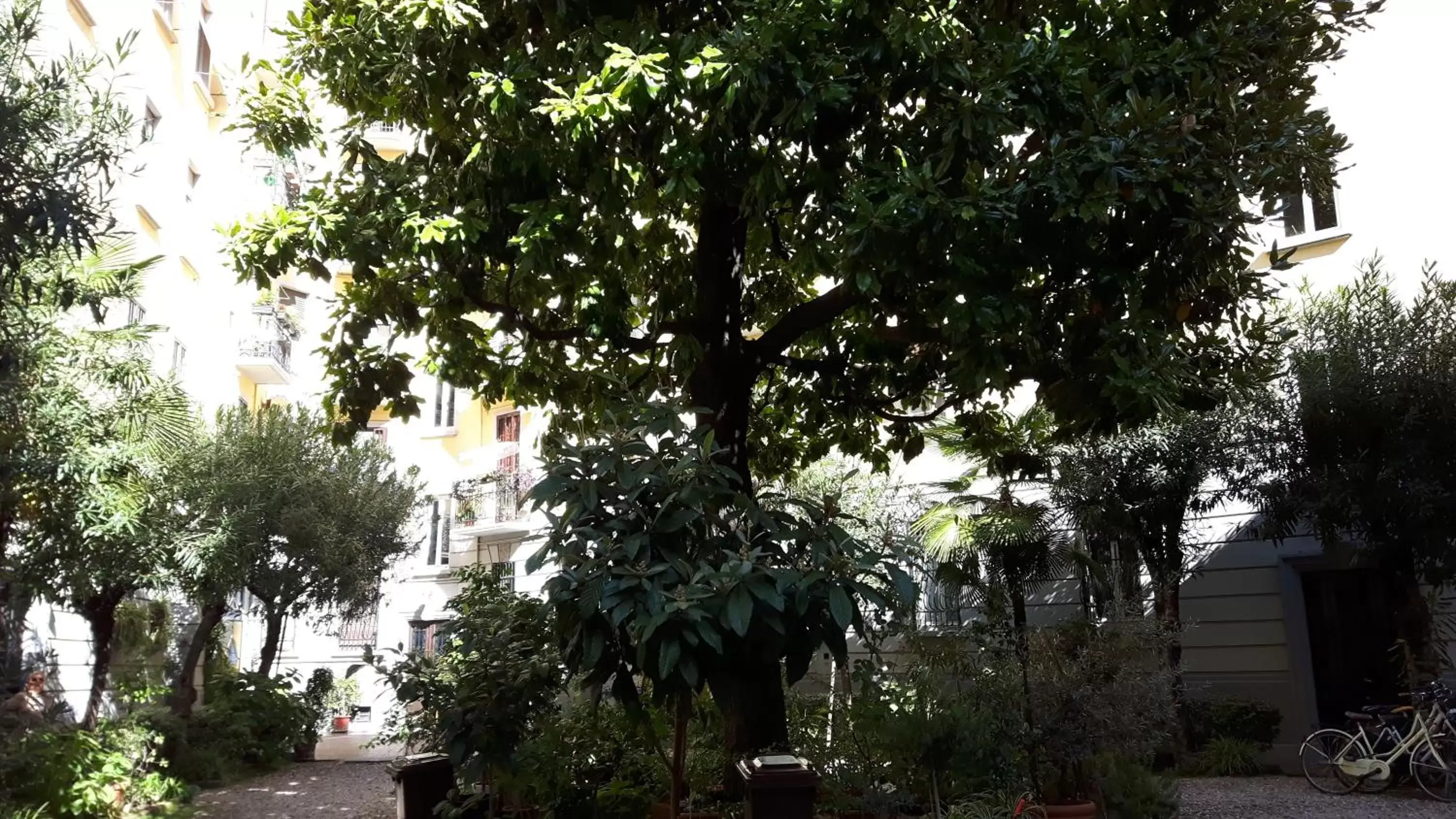 Garden, Property Building in Bronzino House