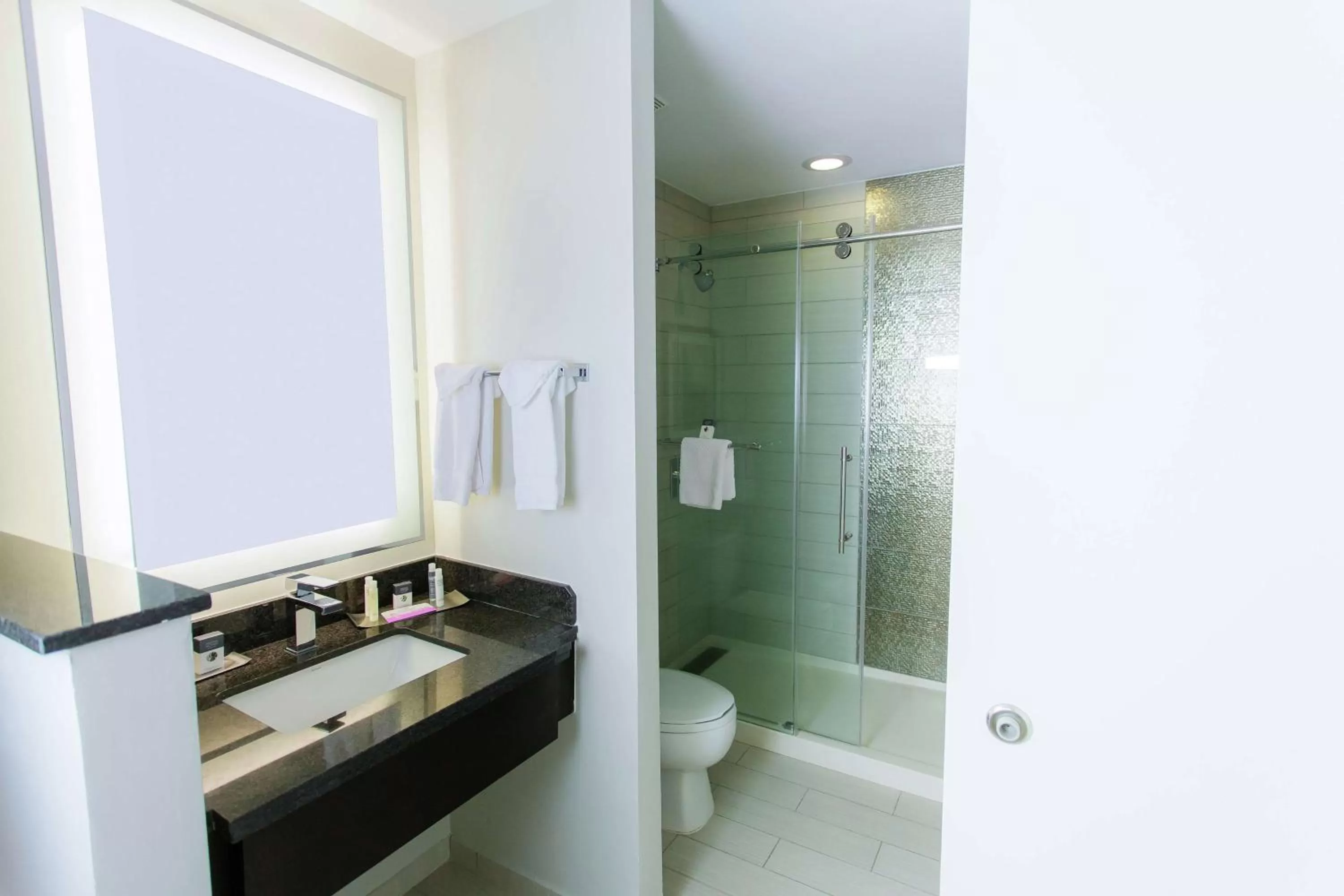 Bathroom in DoubleTree by Hilton Historic Savannah