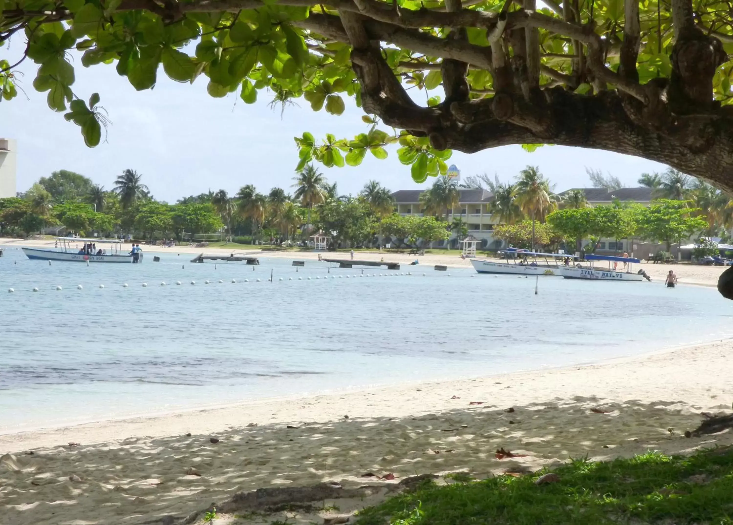 One-Bedroom Apartment in Beach One Bedroom Suite A22 One-Bedroom Apartment in Beach One Bedroom Suite A22