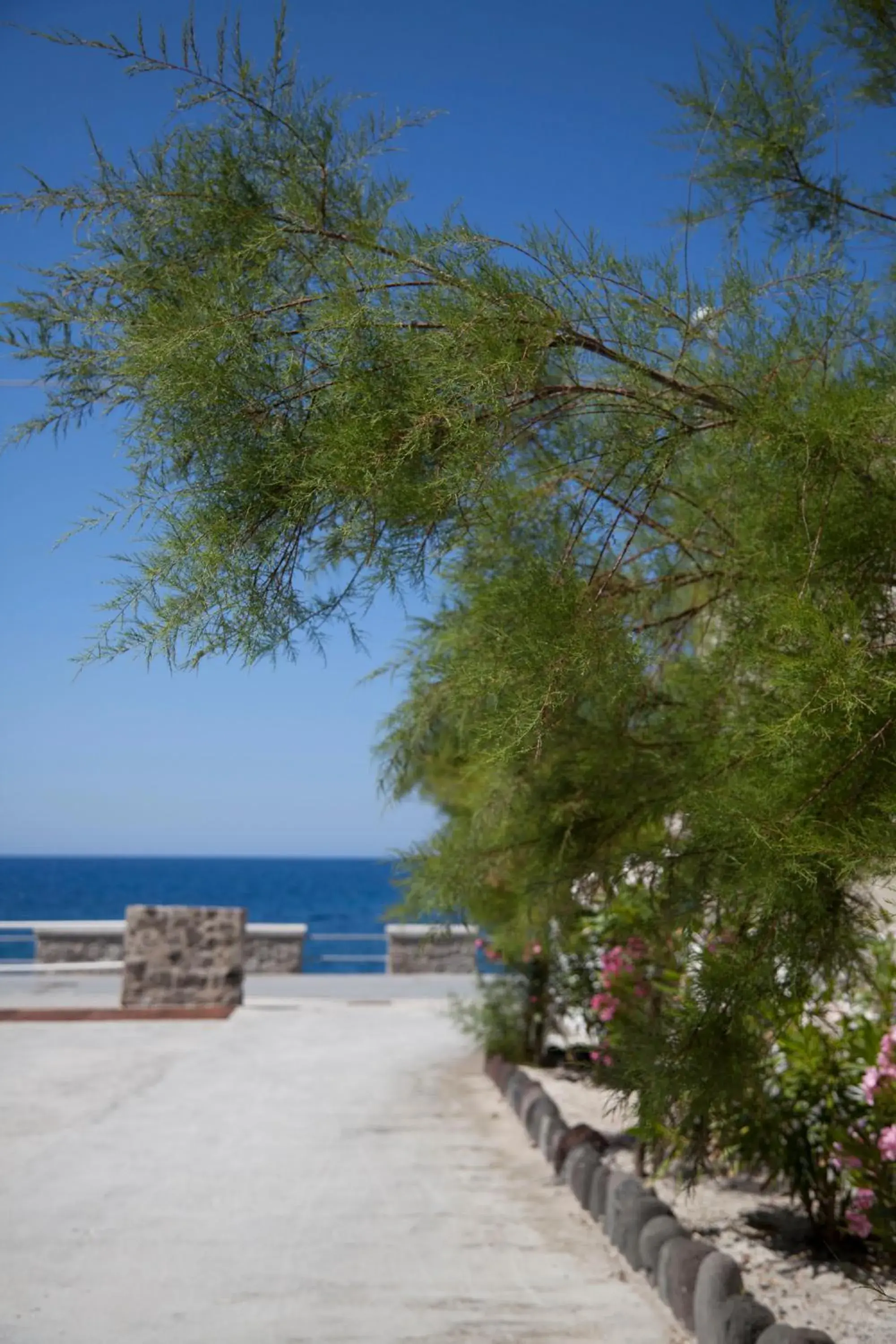 Facade/entrance, Natural Landscape in Hotel Cutimare