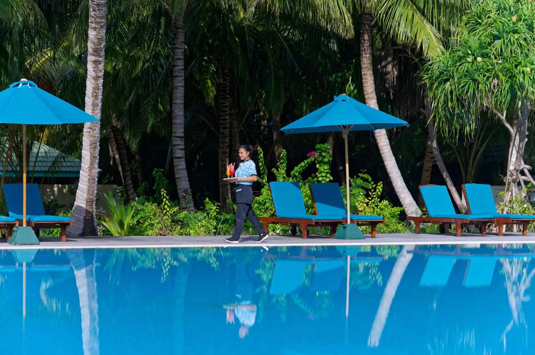 Day in Canareef Resort Maldives