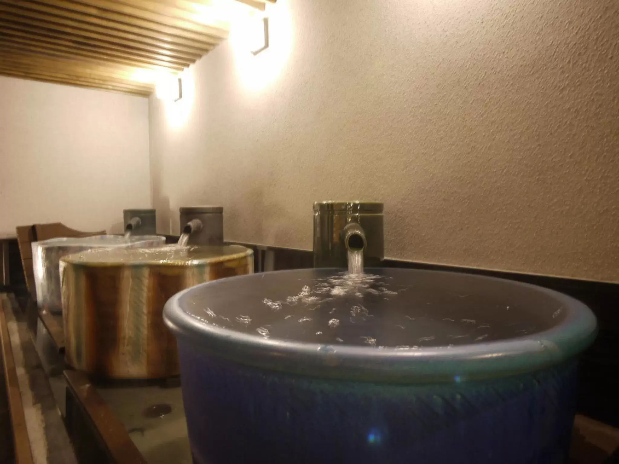 Hot Spring Bath in Himeji Castle Grandvrio Hotel