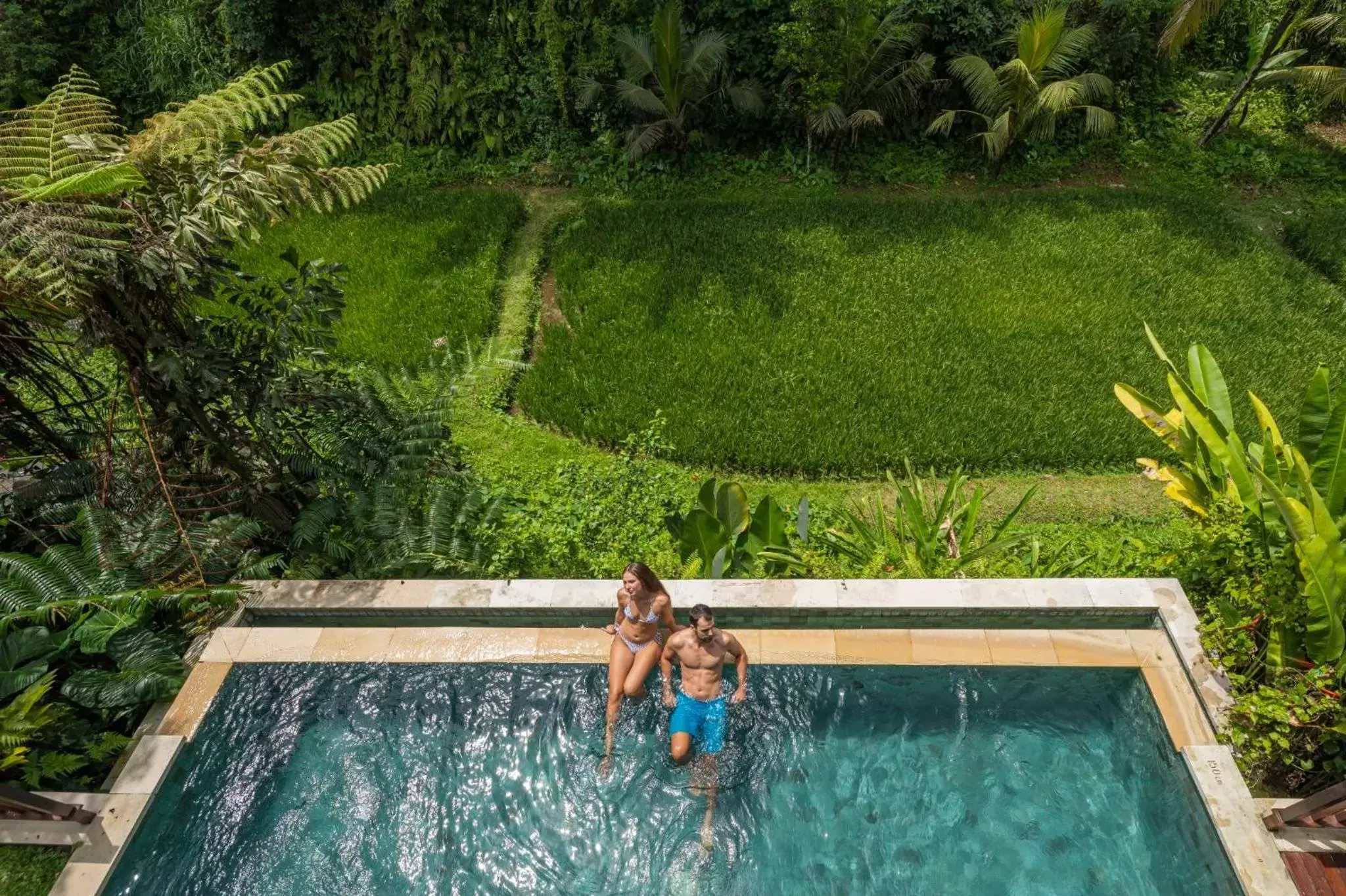 Pool view, Swimming Pool in Dedary Resort Ubud by Ini Vie Hospitality