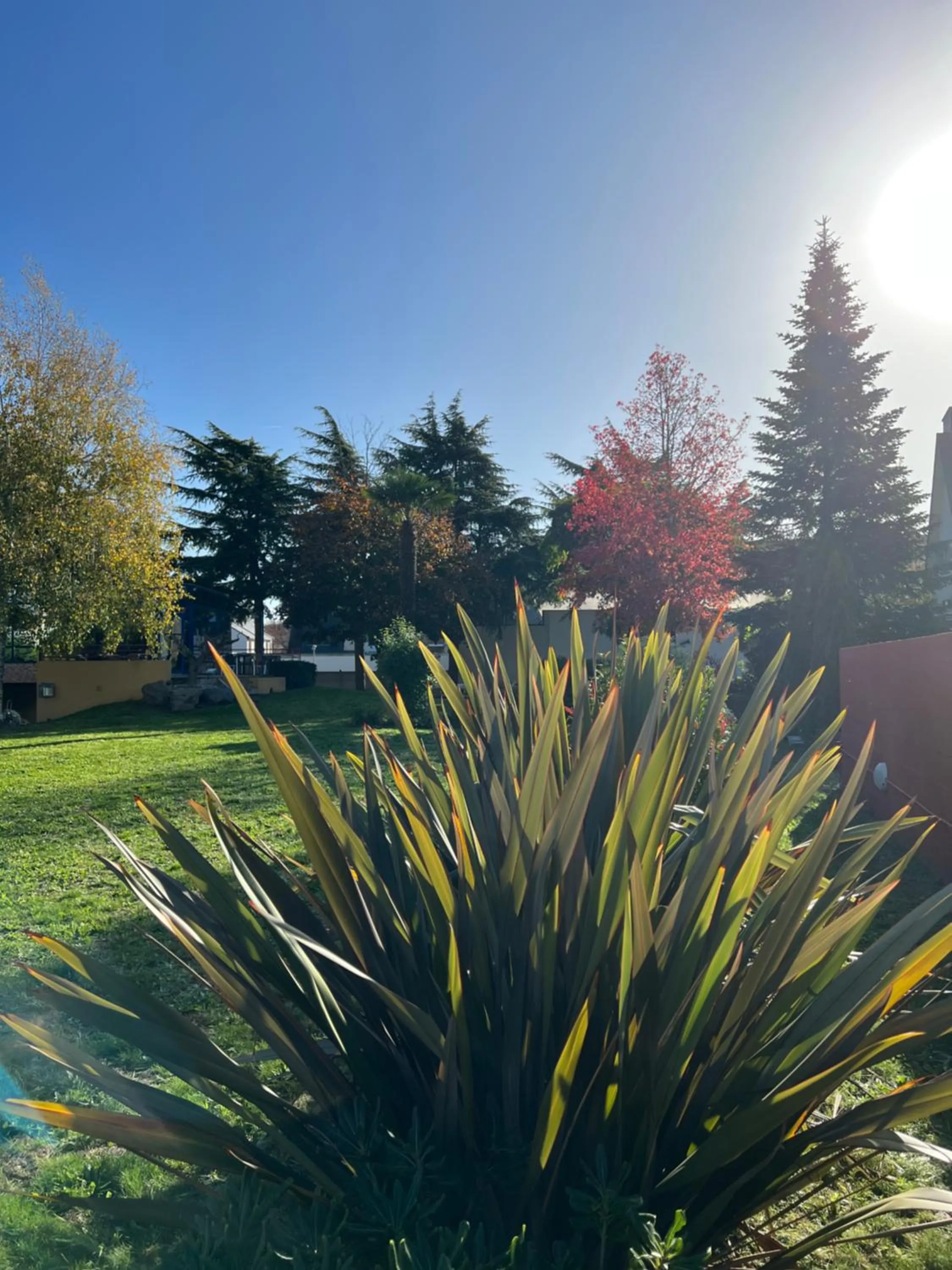 Natural landscape in Hotel Arcantis Le Voltaire