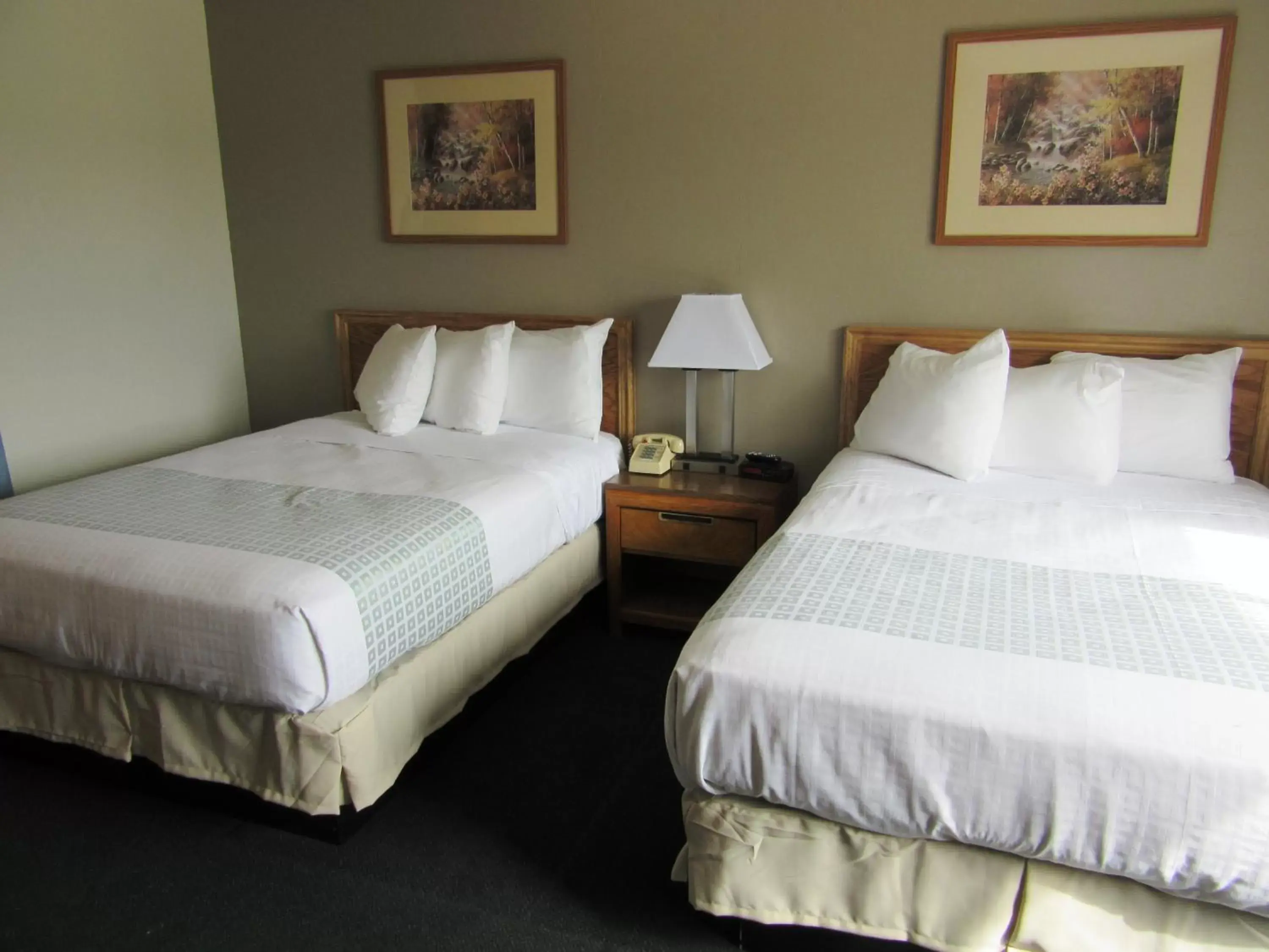 Photo of the whole room, Bed in White Buffalo Hotel