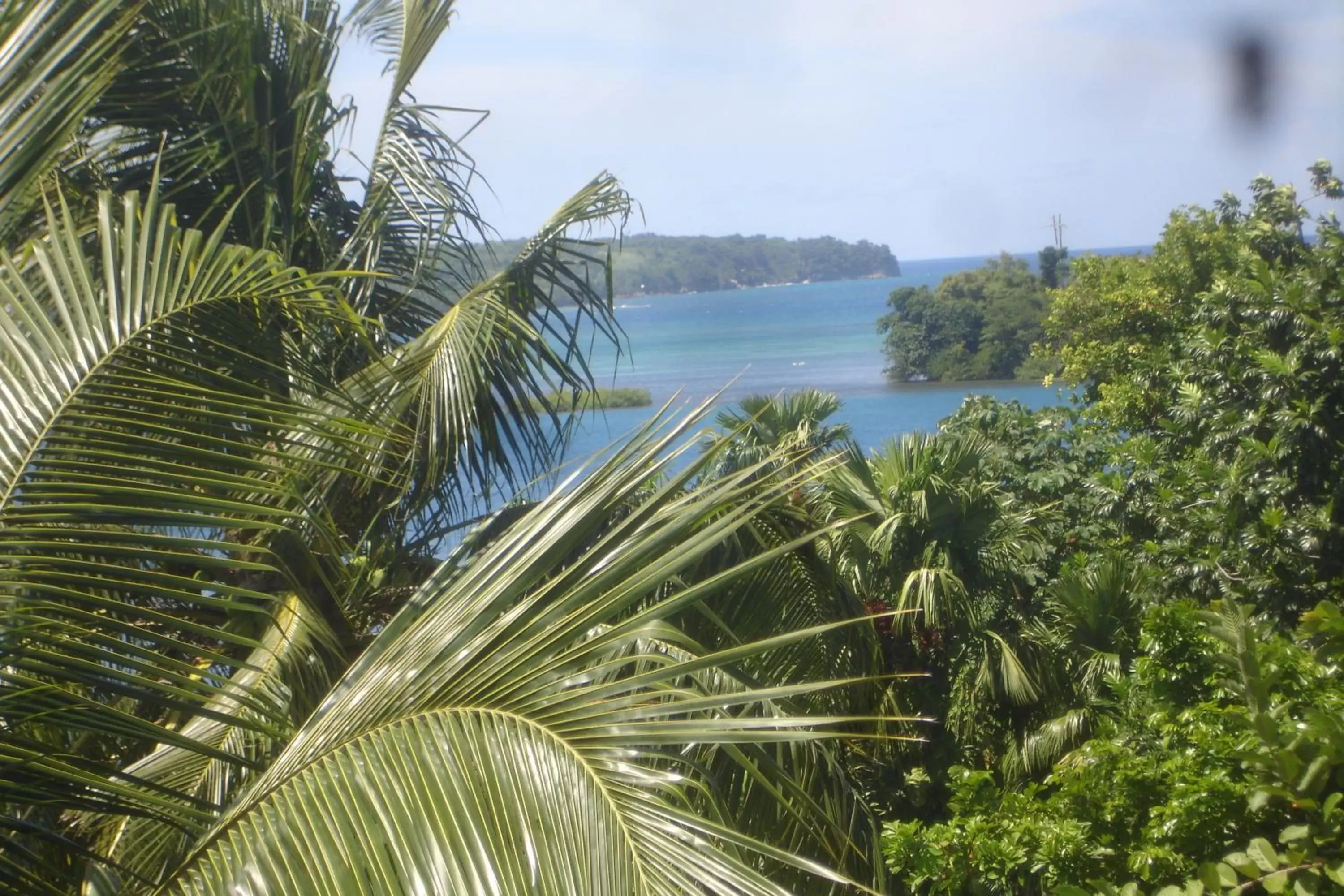 View (from property/room) in Finjam Cottage