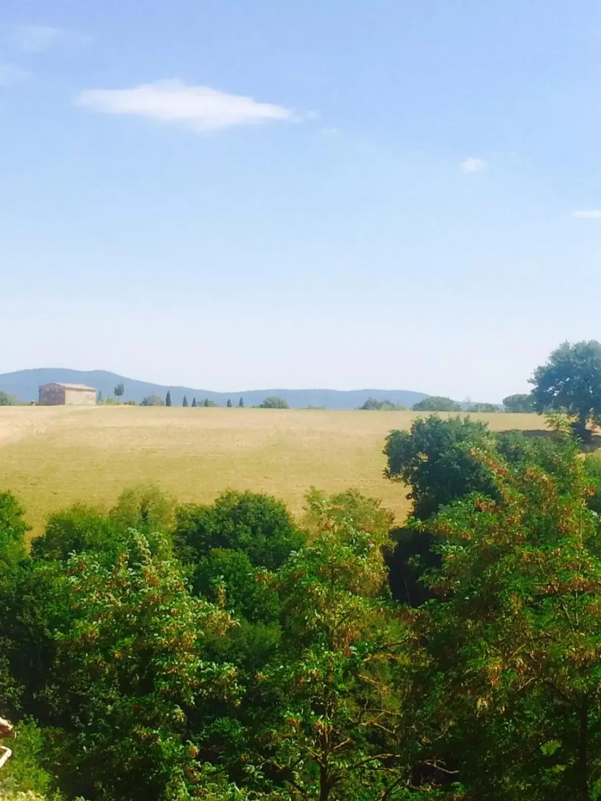 View (from property/room) in Palazzo Pacini