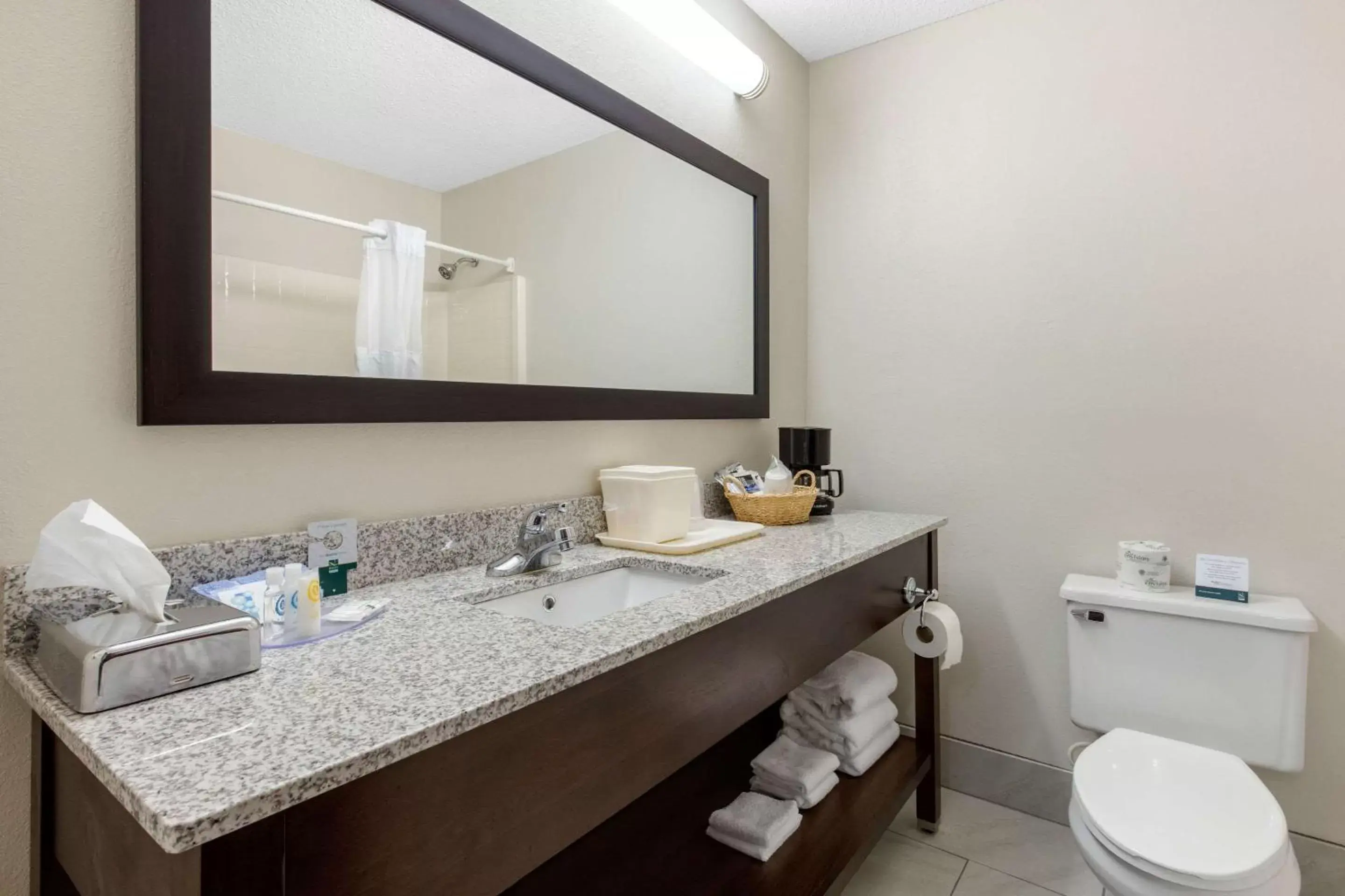 Bathroom in Quality Inn & Suites Mountain Home North