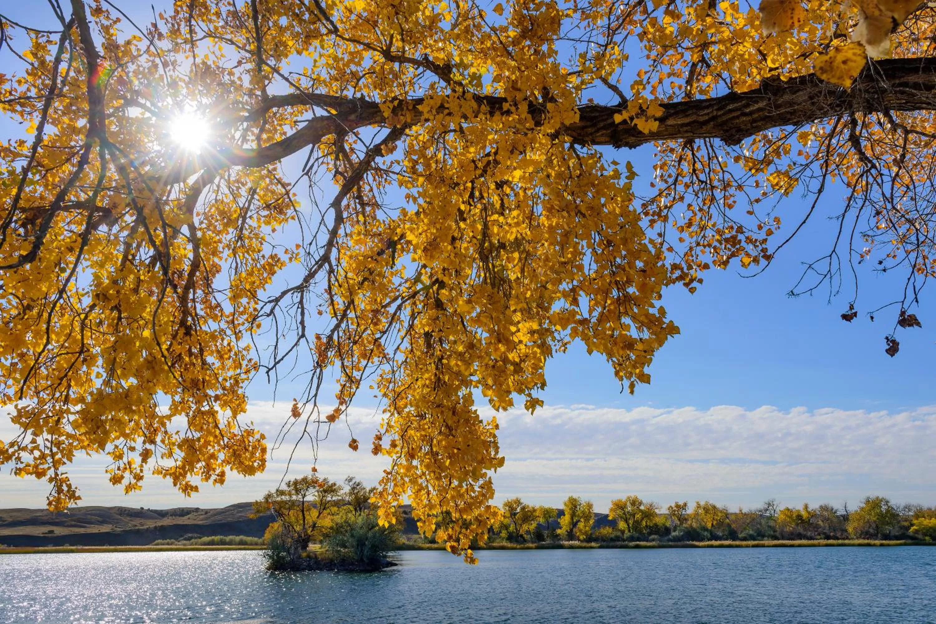 River view in Cedar Shore Resort