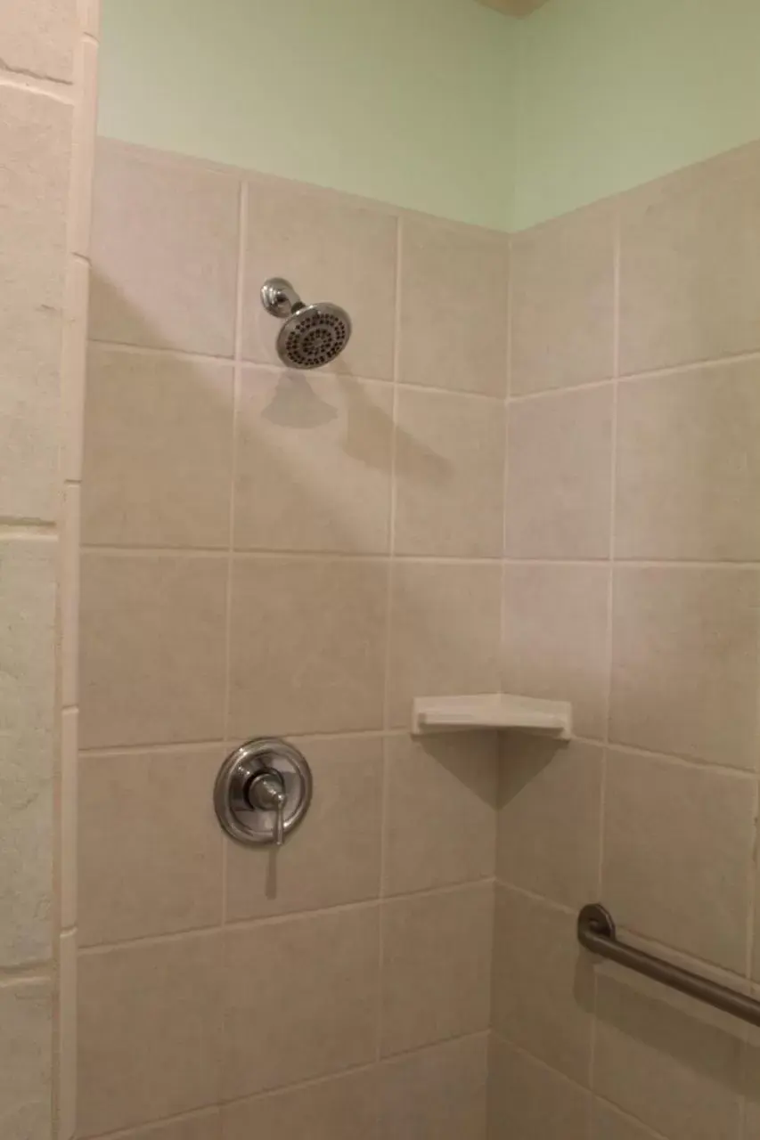 Shower, Bathroom in Elm House Inn