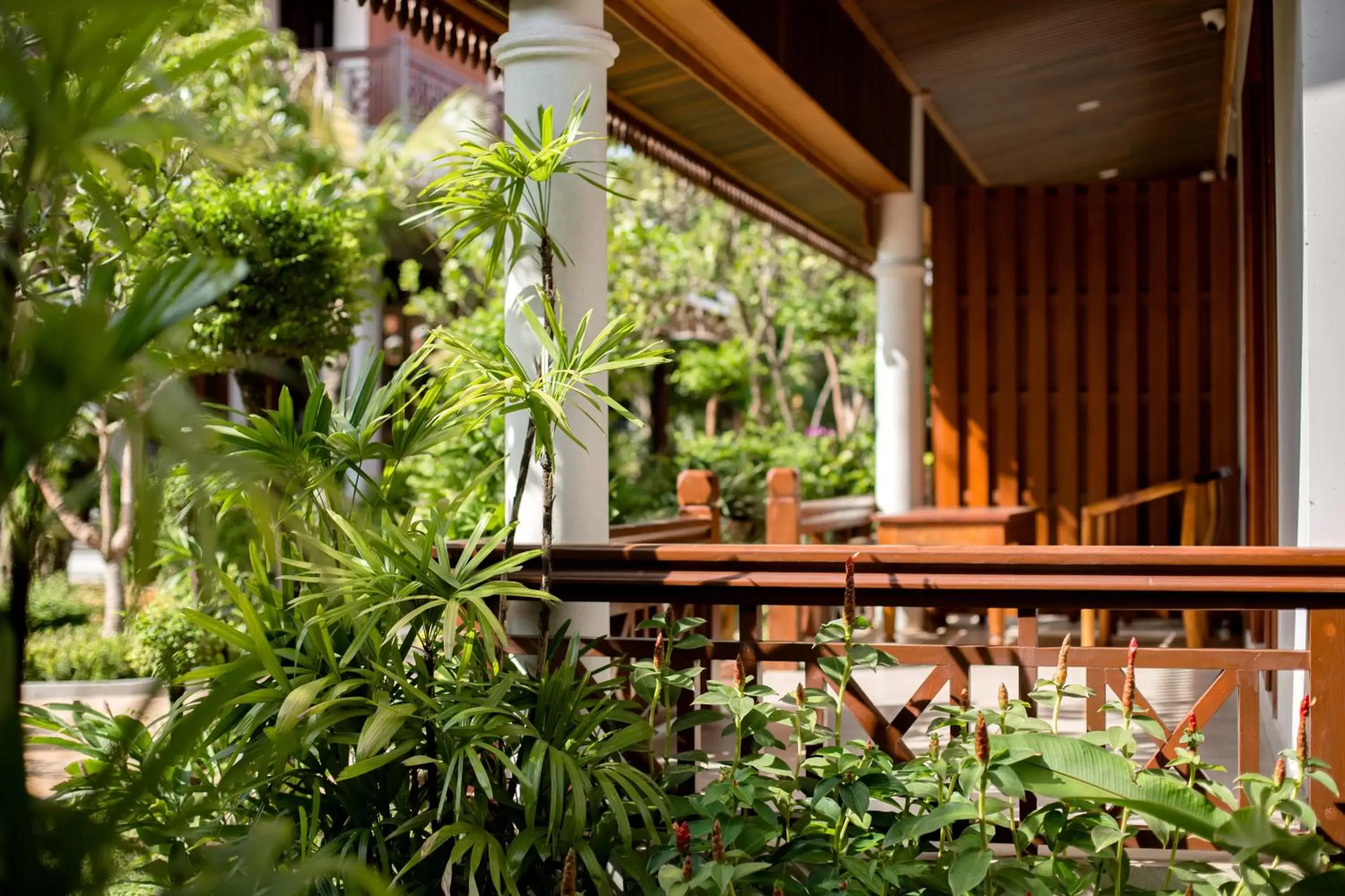 Garden view, Swimming Pool in Angkor Privilege Resort & Spa