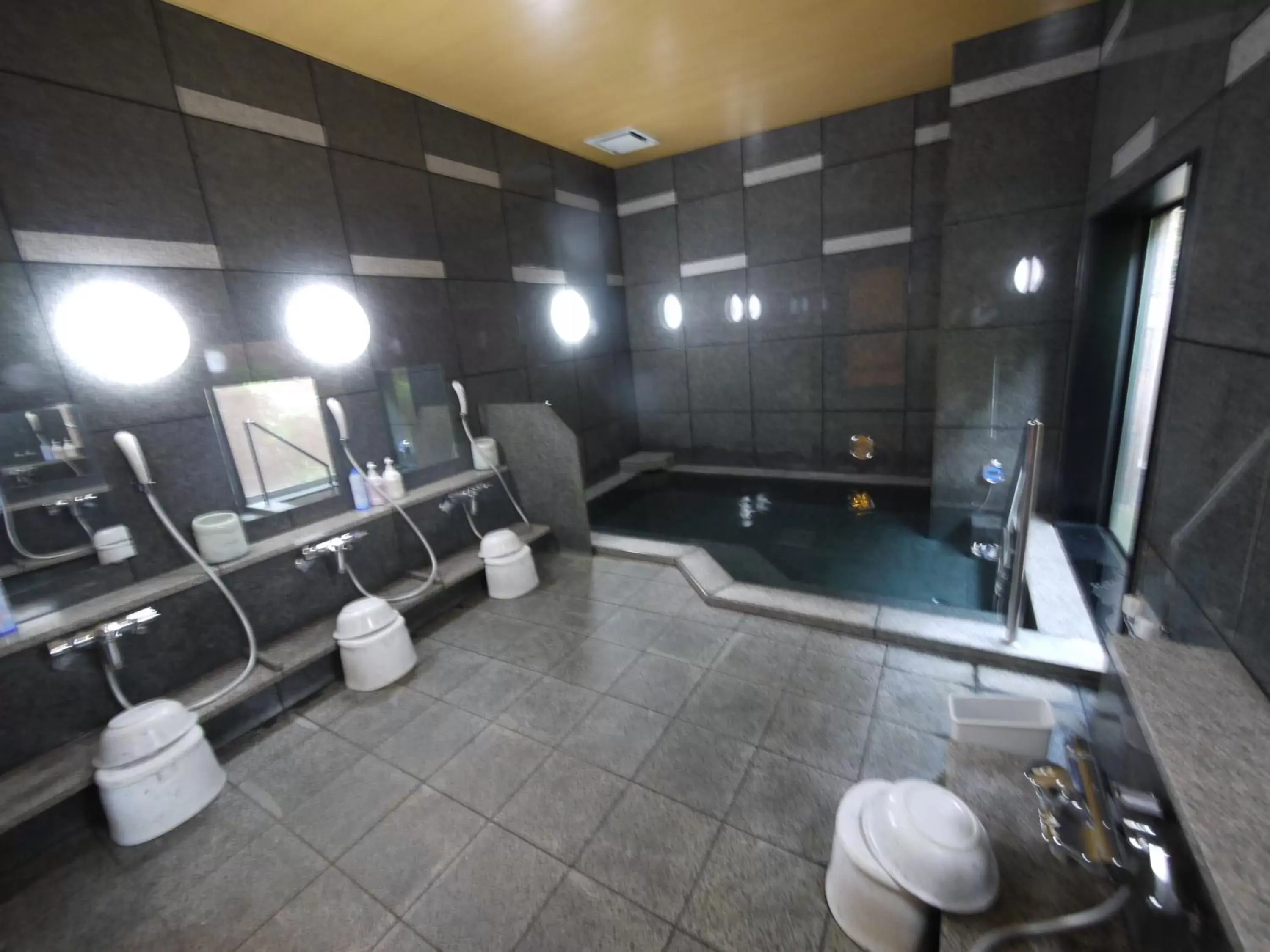 Public Bath, Bathroom in Hotel Route-Inn Sakata