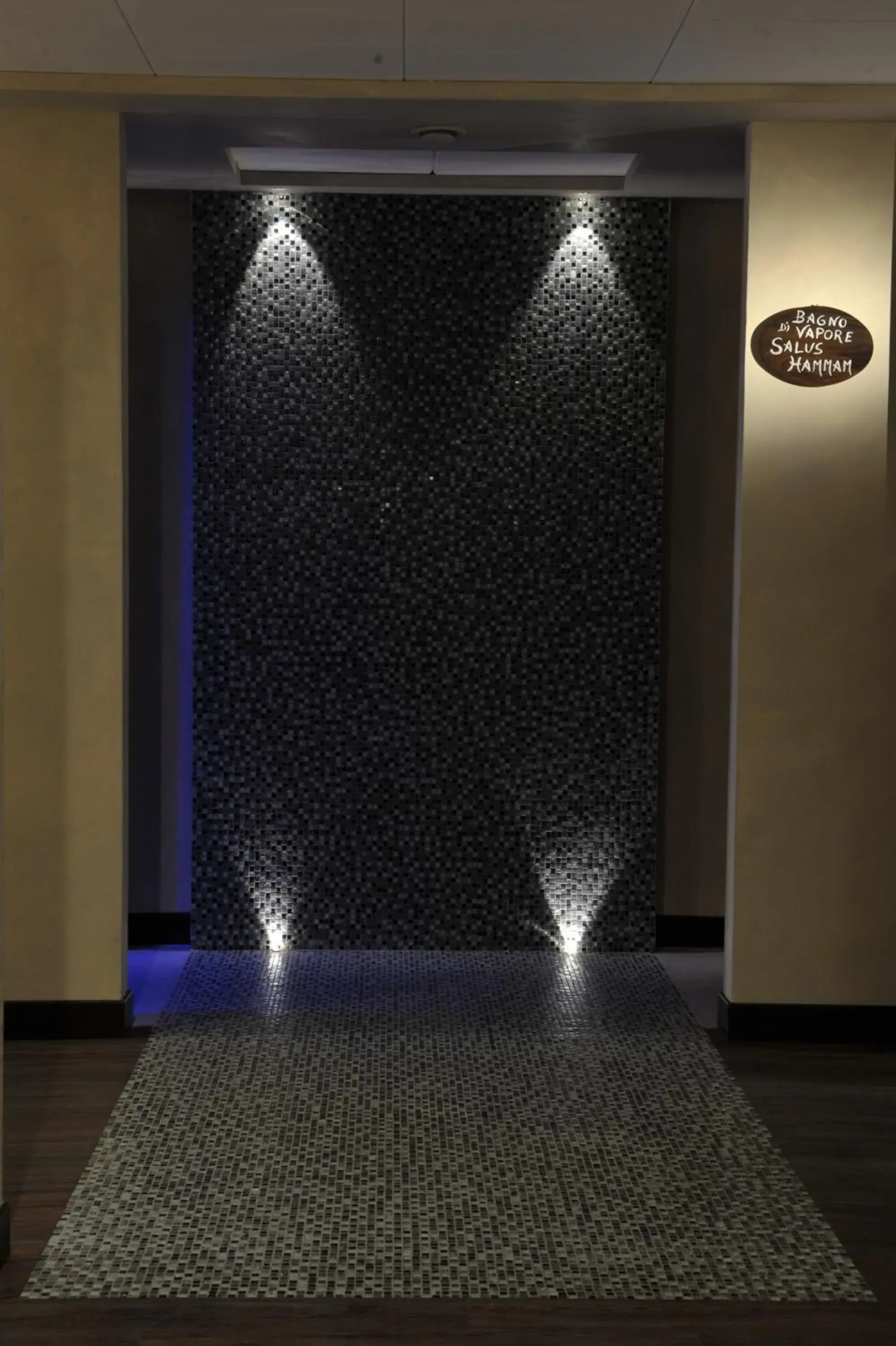 Steam room, Spa/Wellness in Hotel Salus Terme