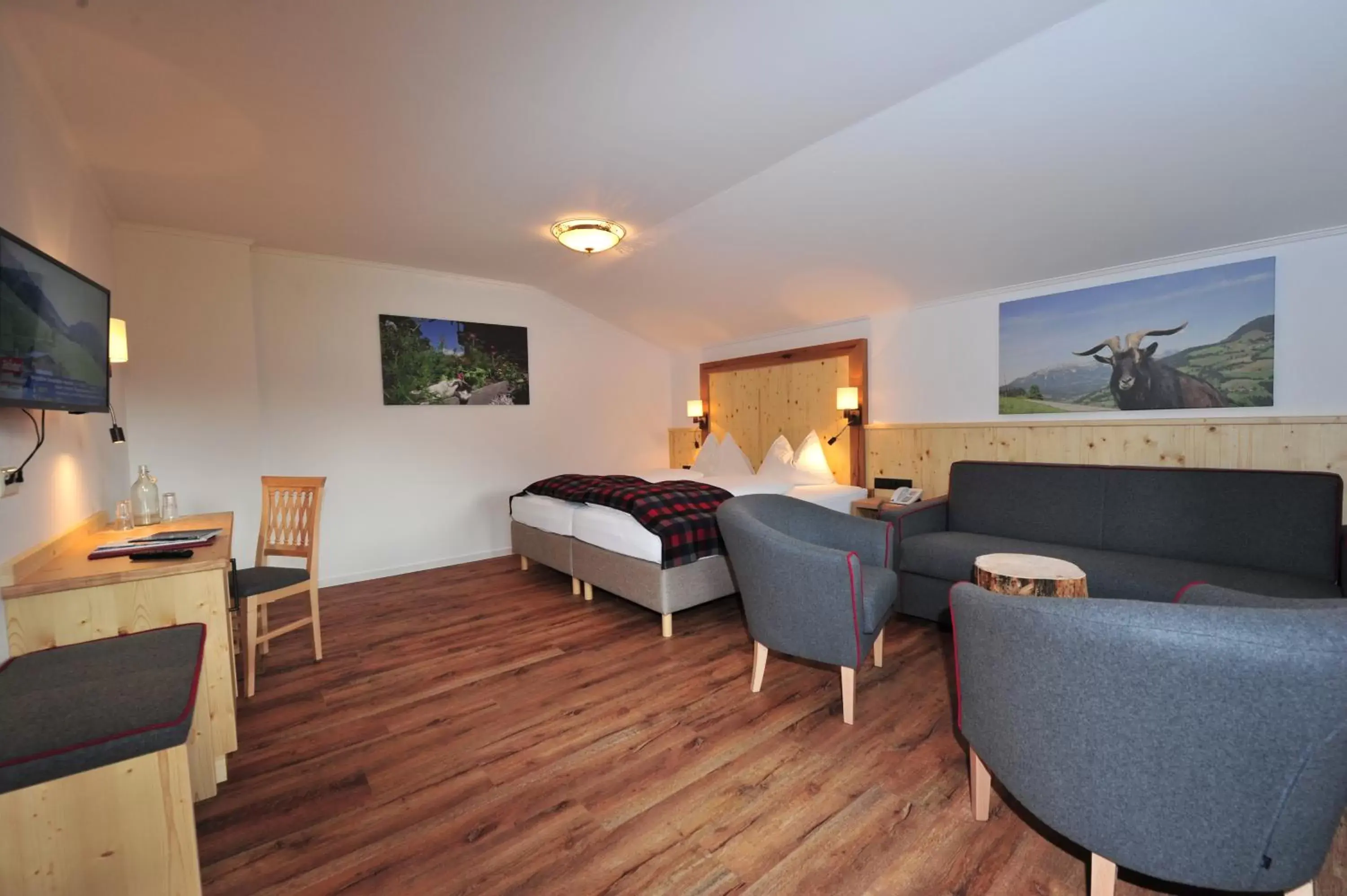 Photo of the whole room in Hotel Alpenpanorama