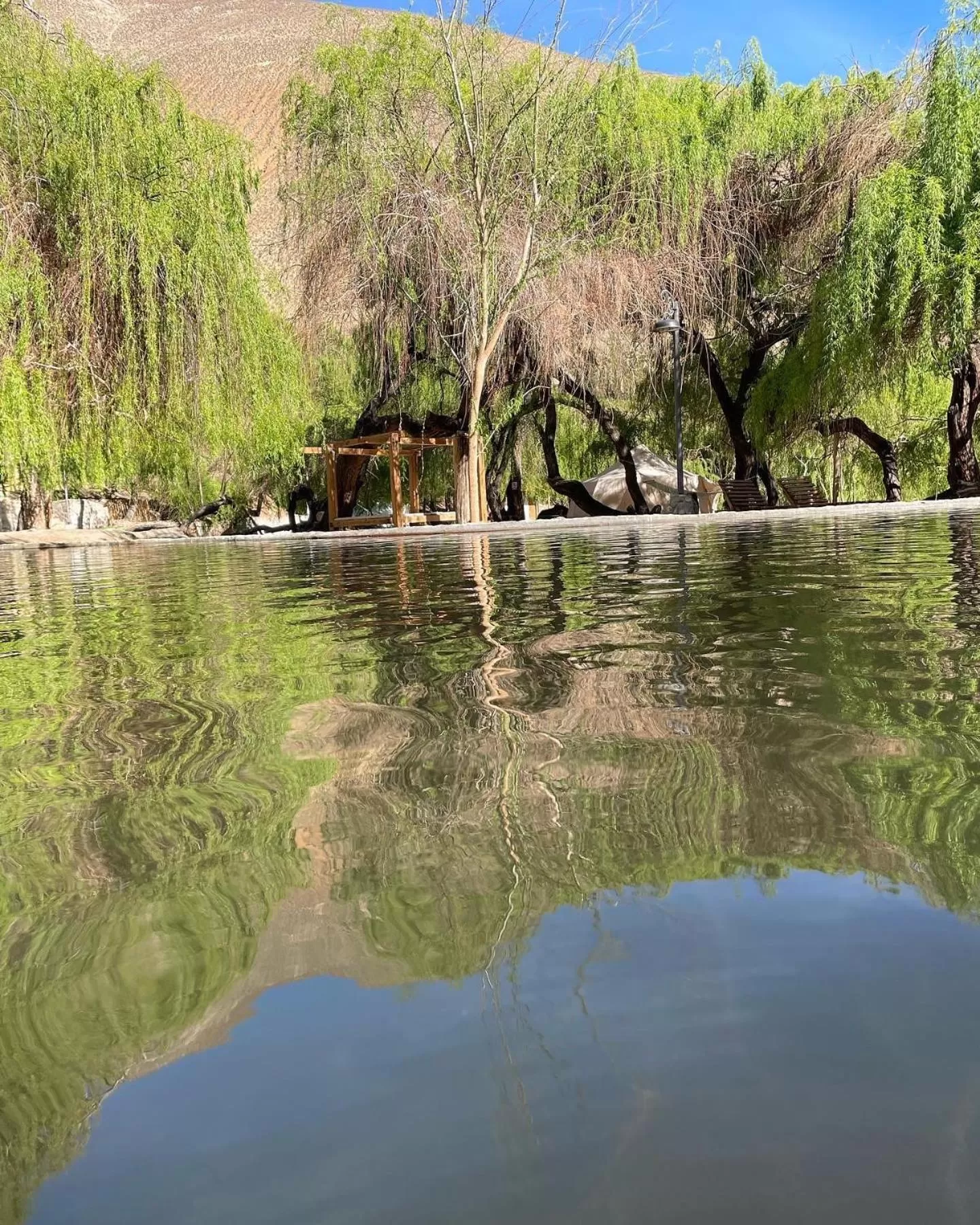 Swimming pool in Glamping Miraflores