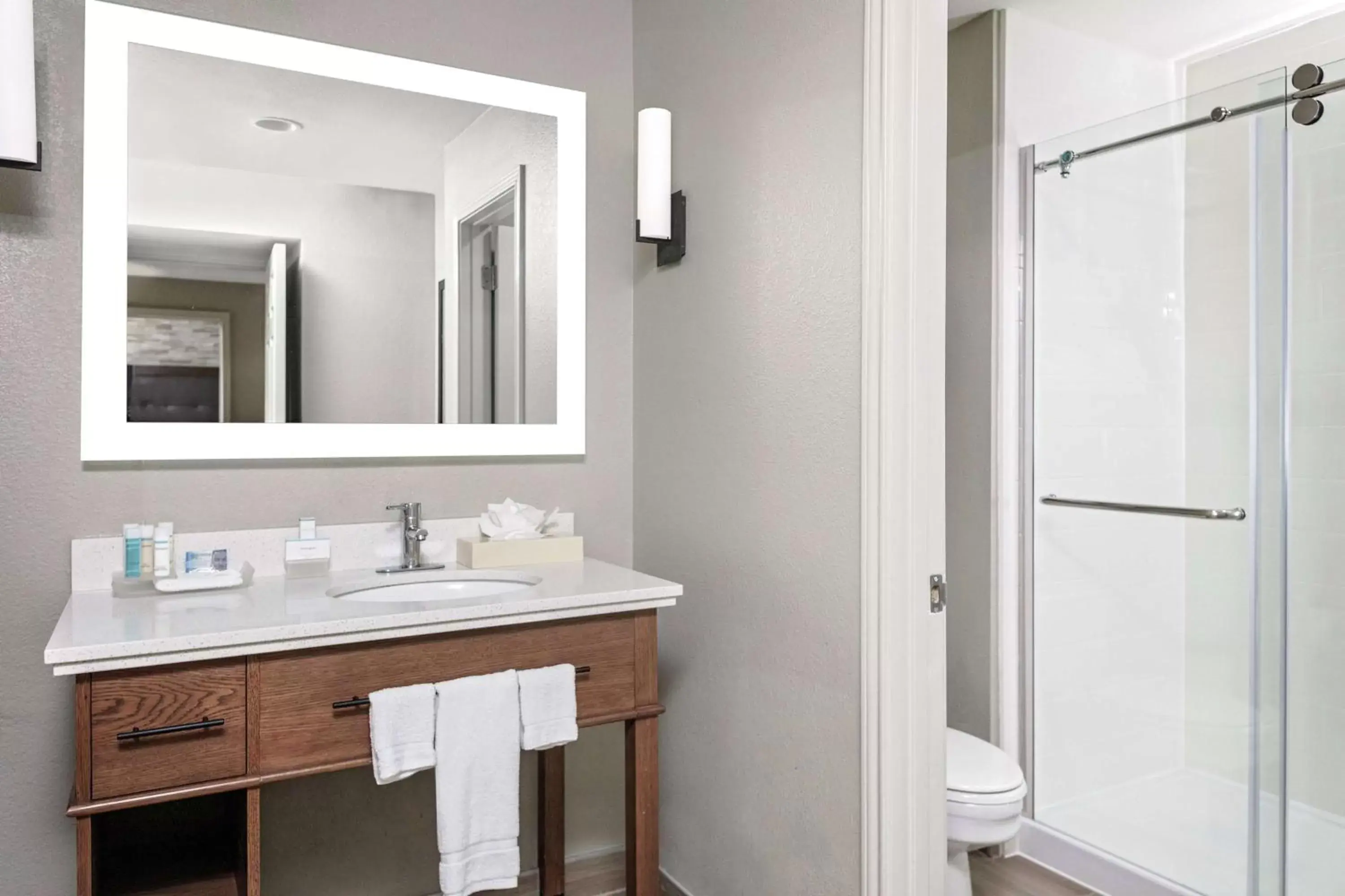 Bathroom in Homewood Suites by Hilton Ft. Worth-Bedford