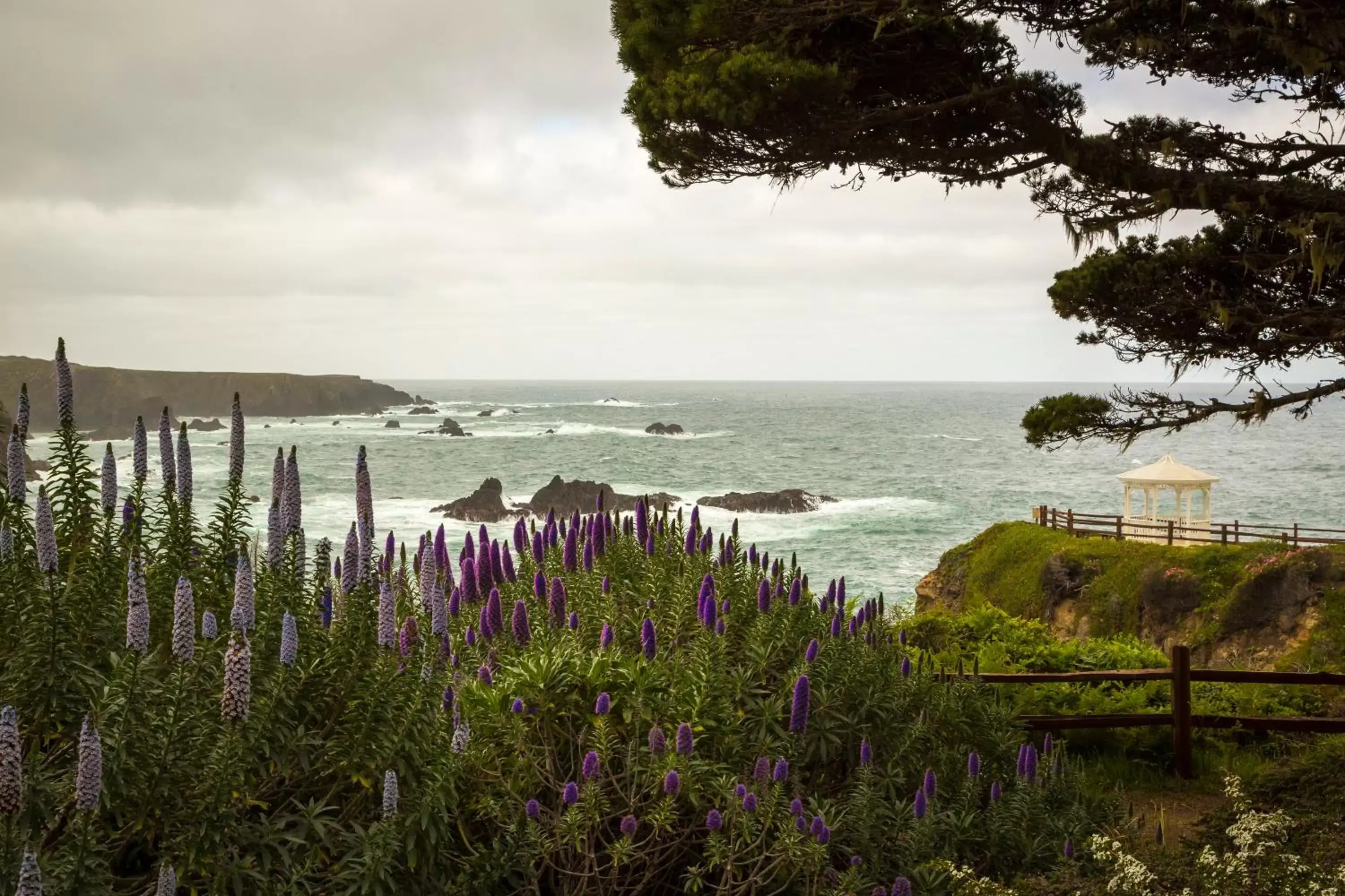 Natural Landscape in Heritage House Resort & Spa