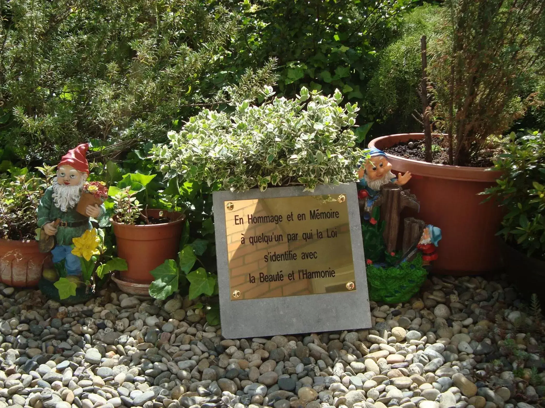 Garden in Hotel Le Dome