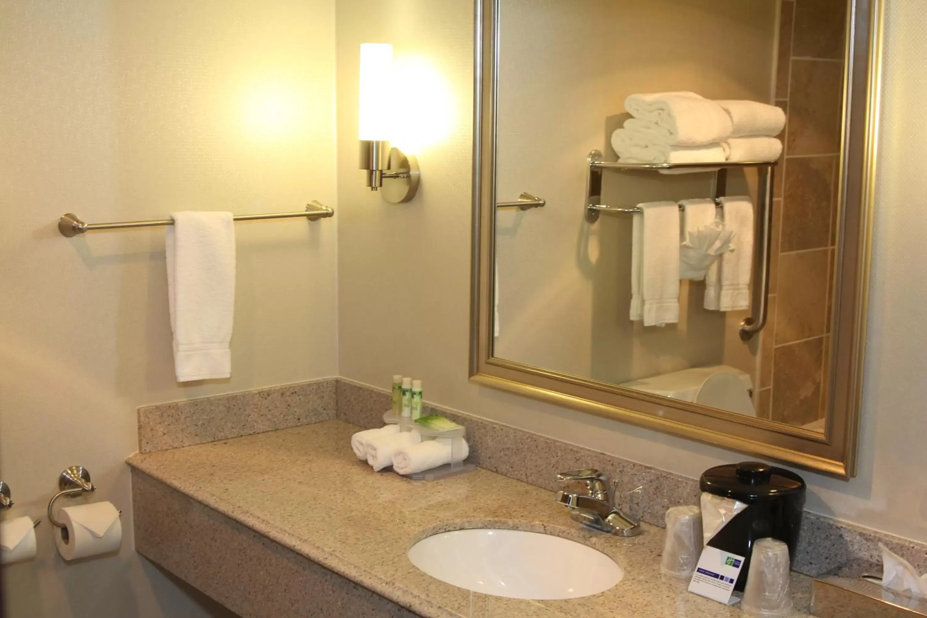 Bathroom in Holiday Inn Express Hotel & Suites Indianapolis W - Airport Area, an IHG Hotel