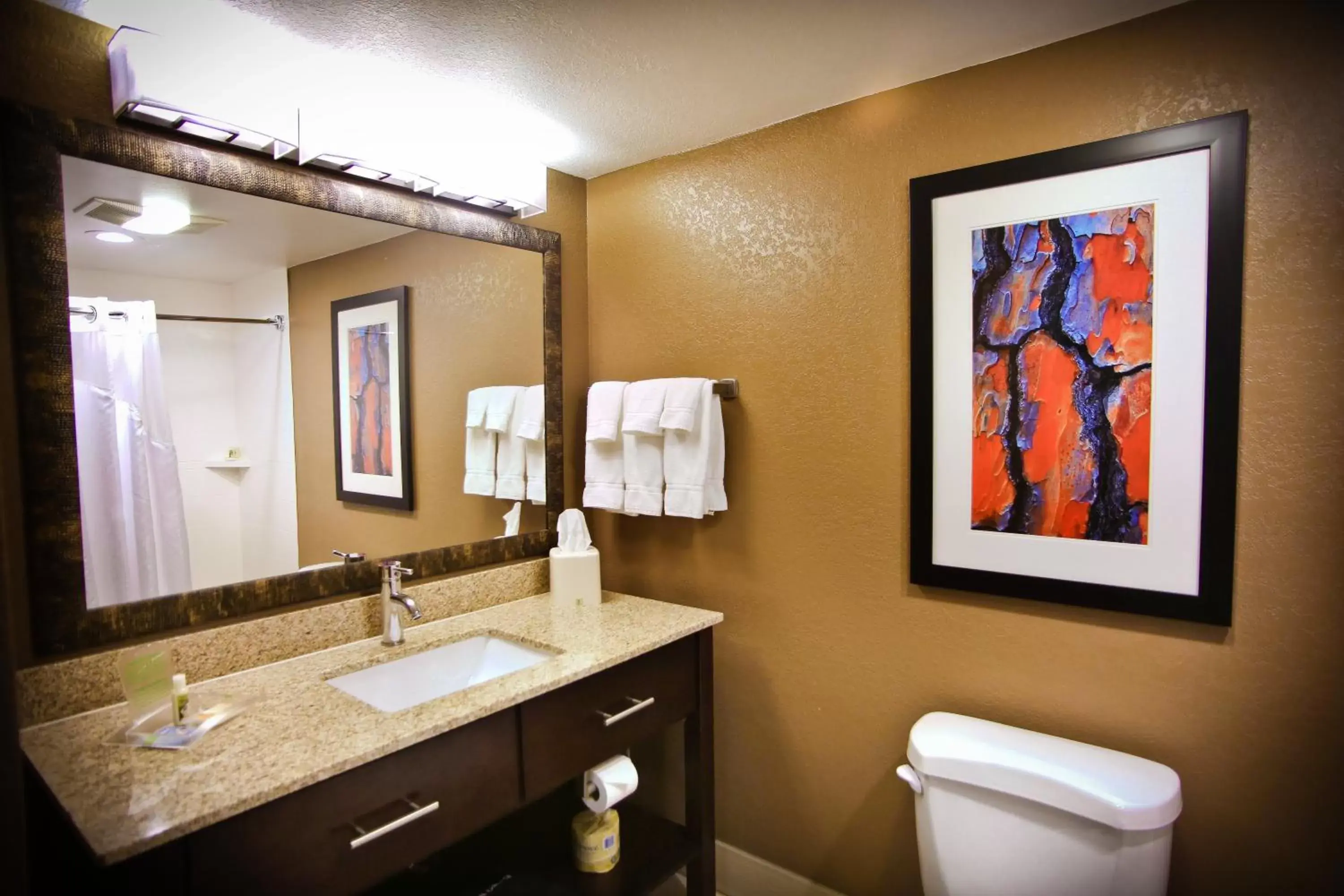 Bathroom in Holiday Inn & Suites Downtown La Crosse, an IHG Hotel
