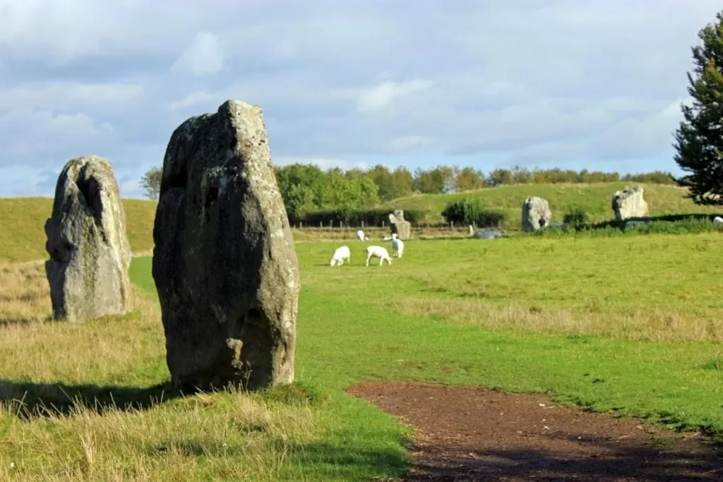 Day in B&B Dorwyn Manor