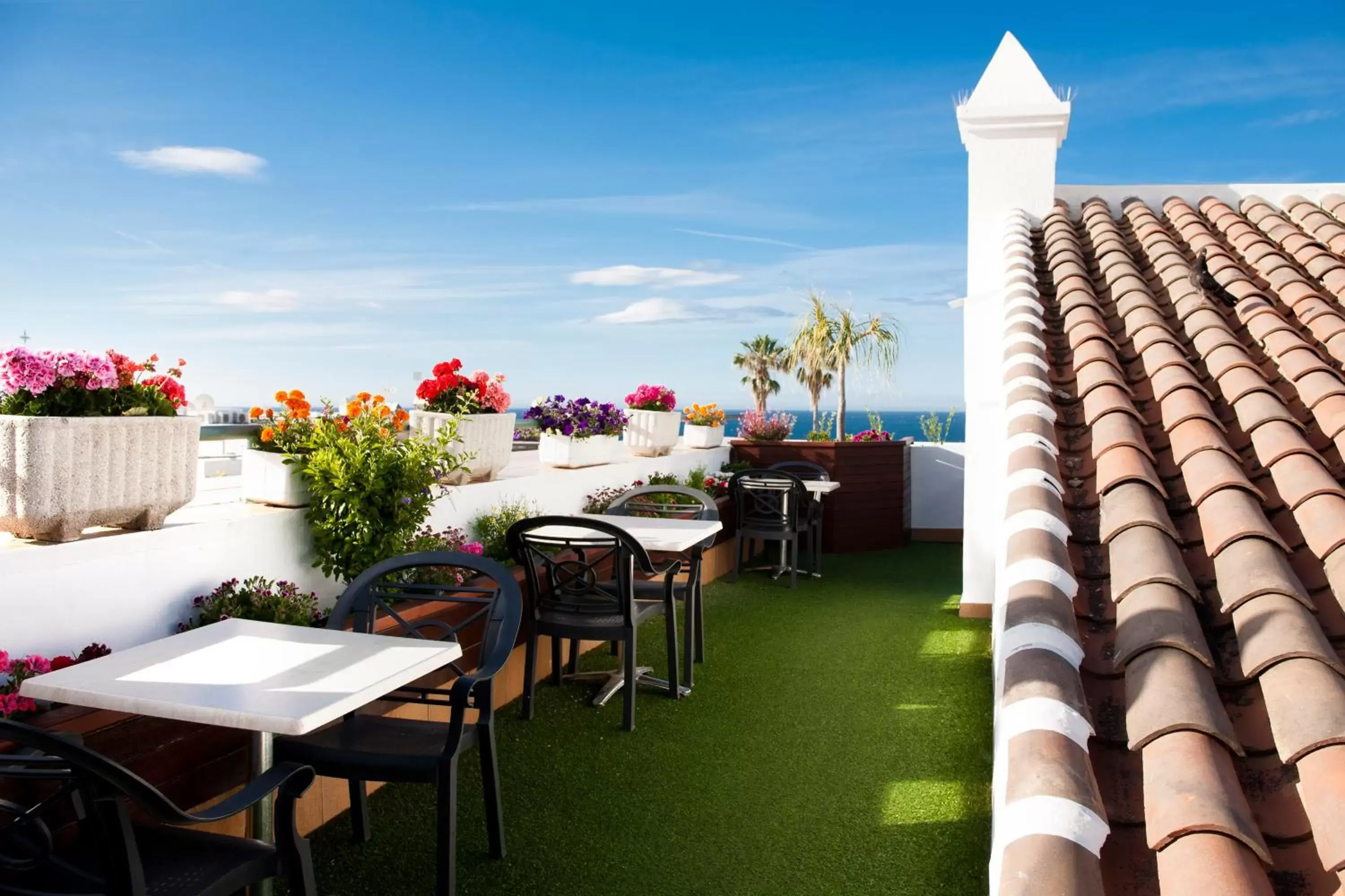 Balcony/Terrace, Restaurant/Places to Eat in Hotel Plaza Cavana