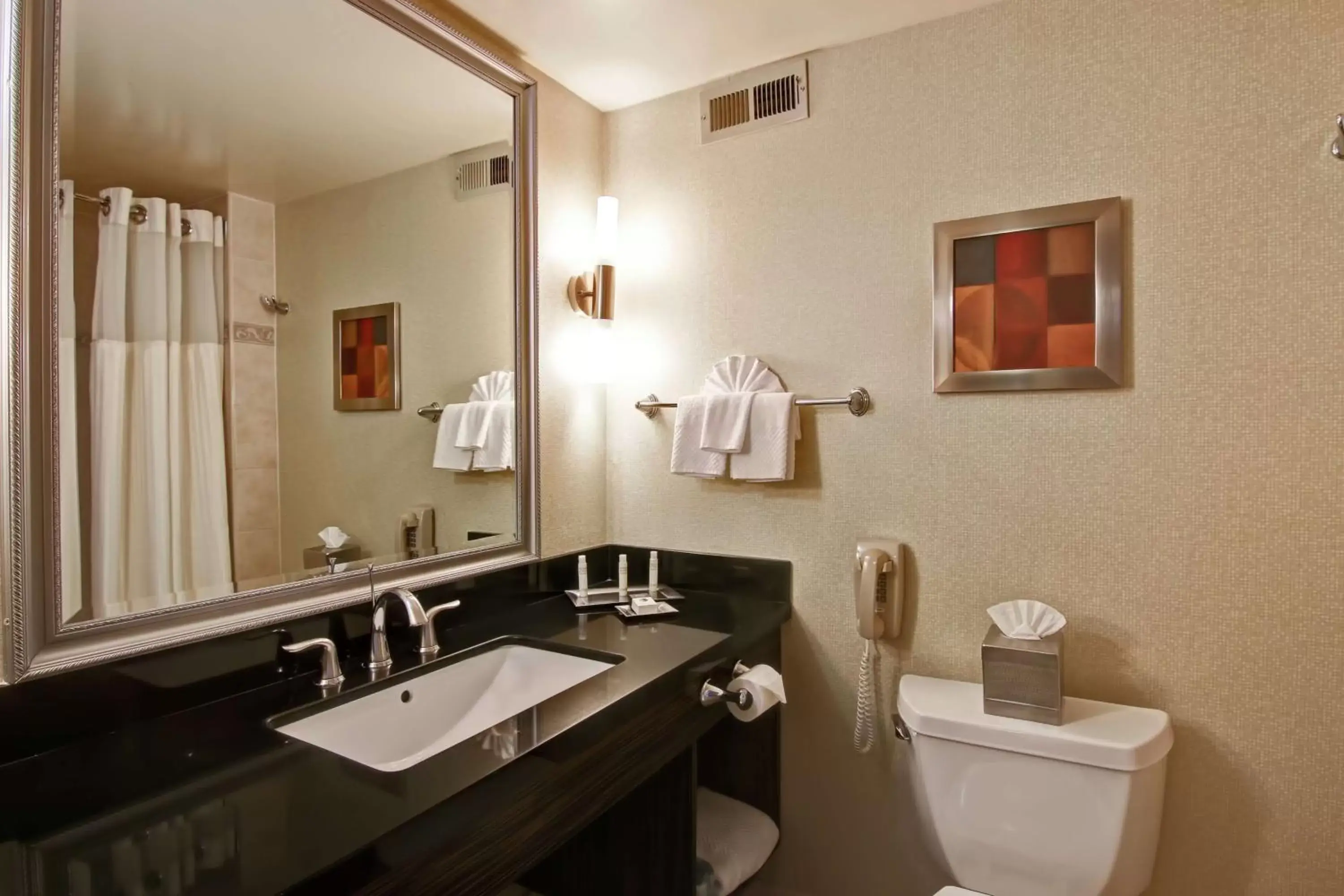 Bathroom in DoubleTree by Hilton Pleasanton at The Club