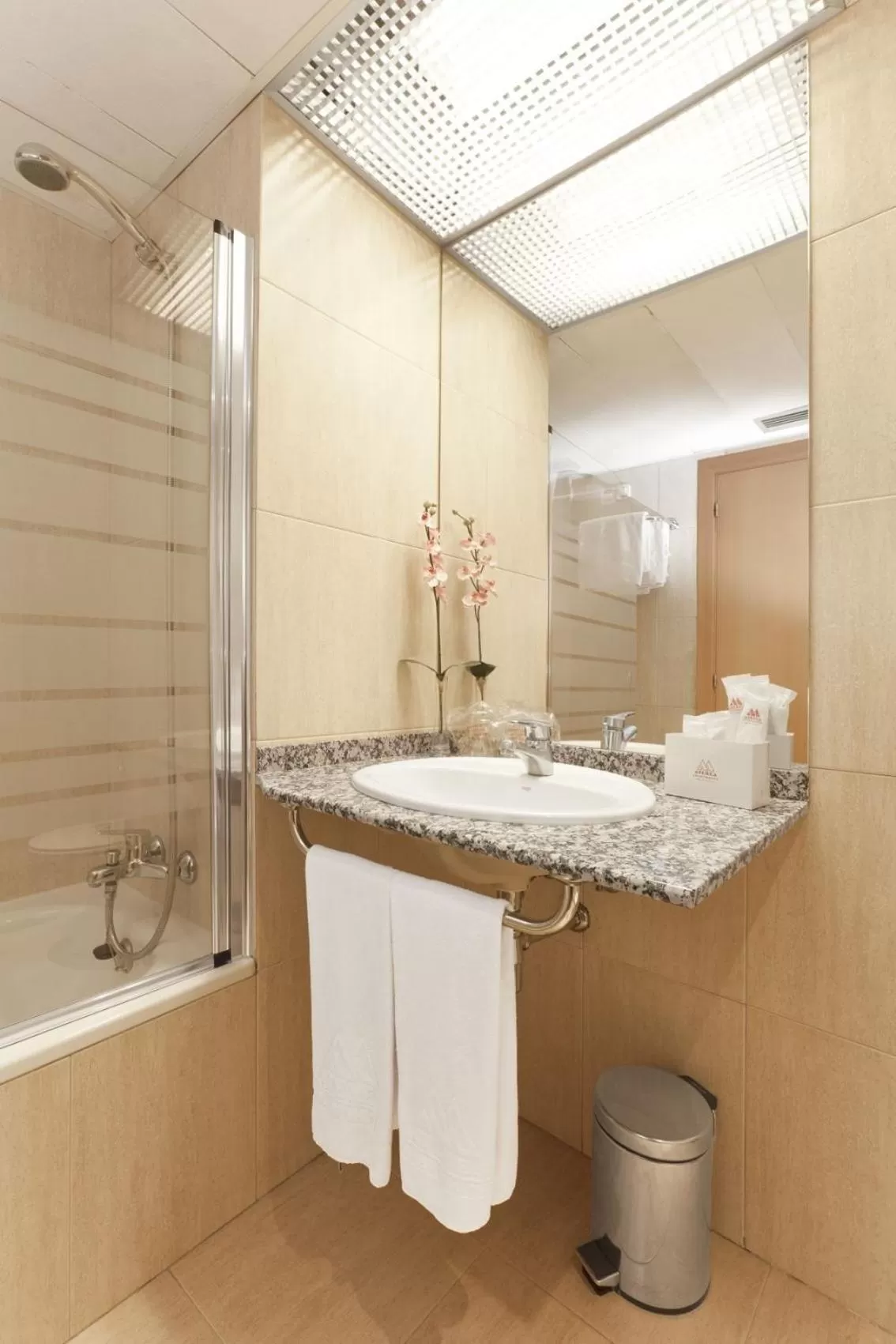 Double or Twin Room in Aparthotel Atenea Valles