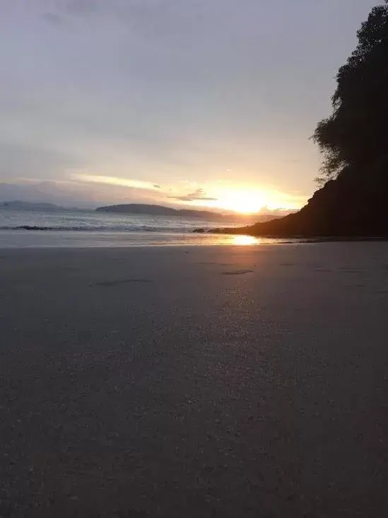 Natural landscape in Sea Star House