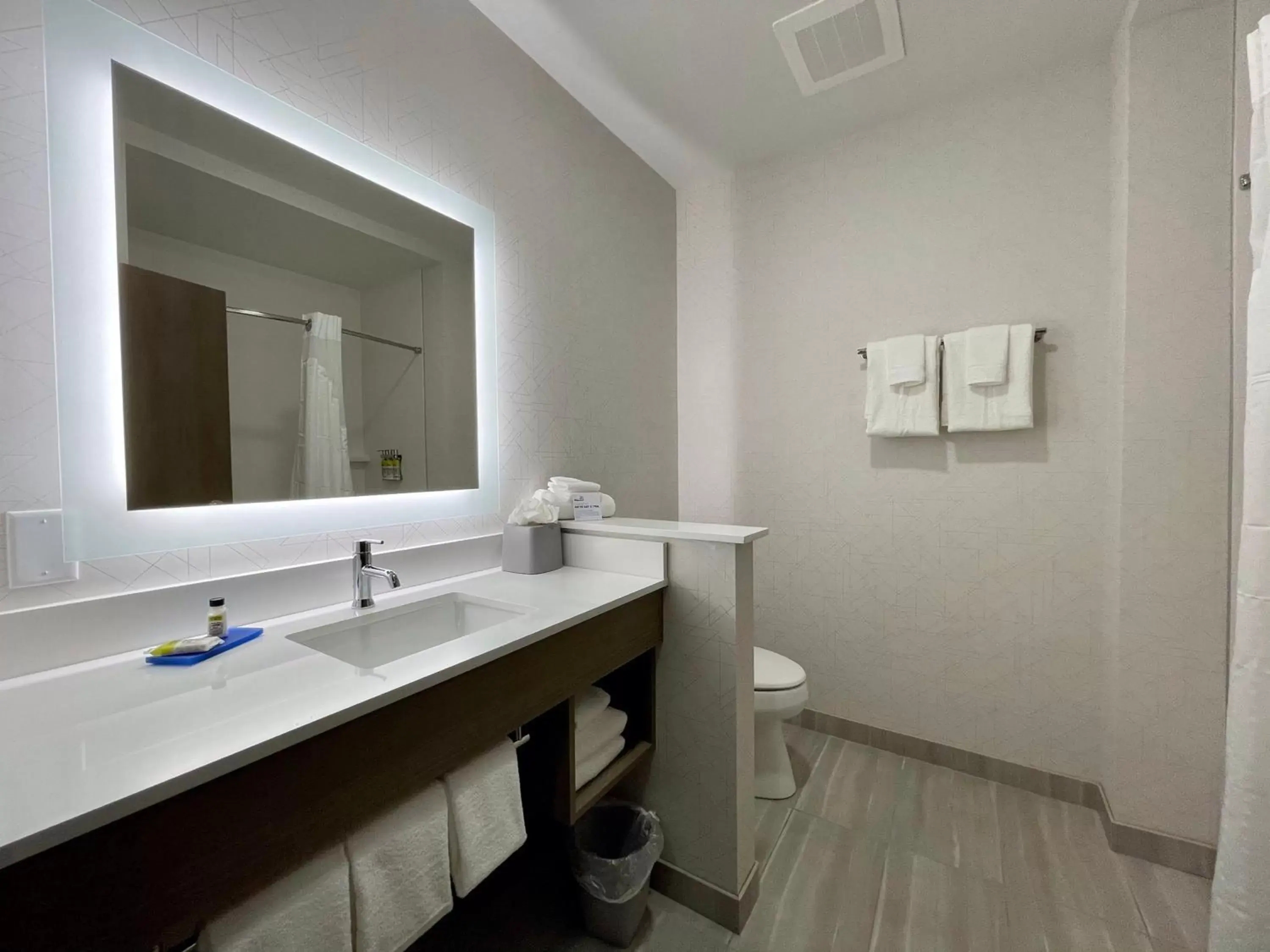 Bathroom in Holiday Inn Express & Suites - Ft. Smith - Airport, an IHG Hotel