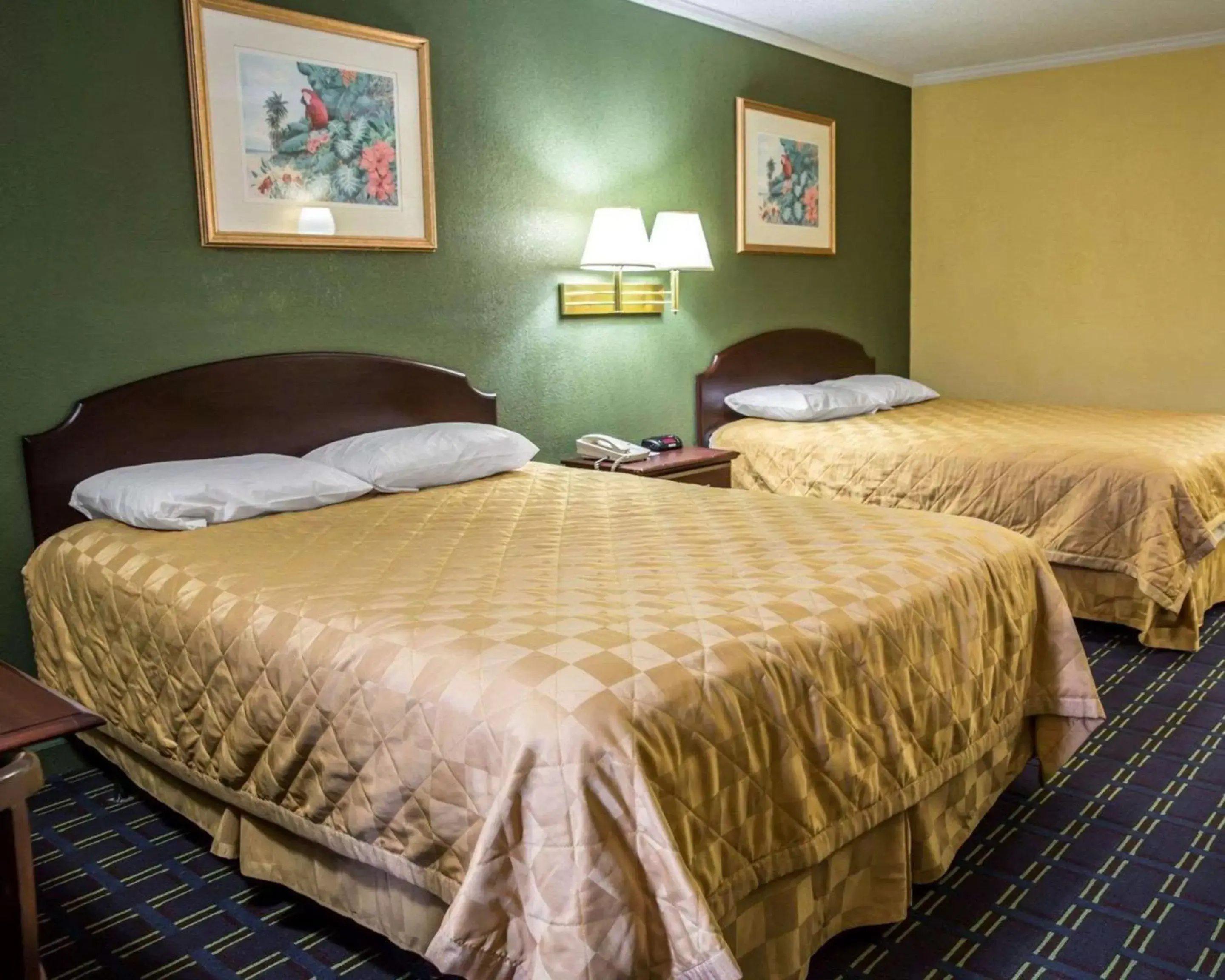 Photo of the whole room, Bed in Rodeway Inn & Suites Plymouth Hwy 64