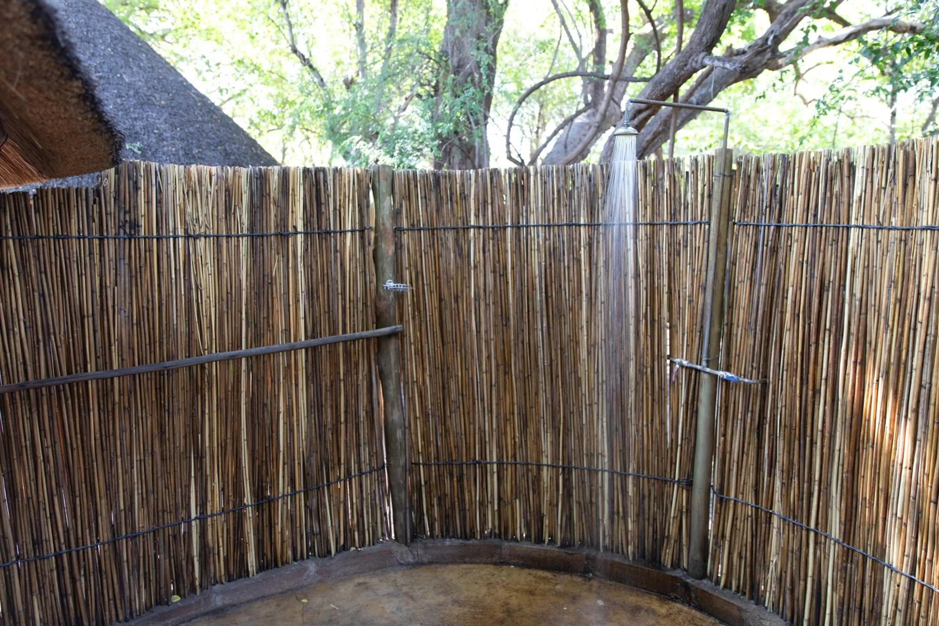 Discovery Bed and Breakfast