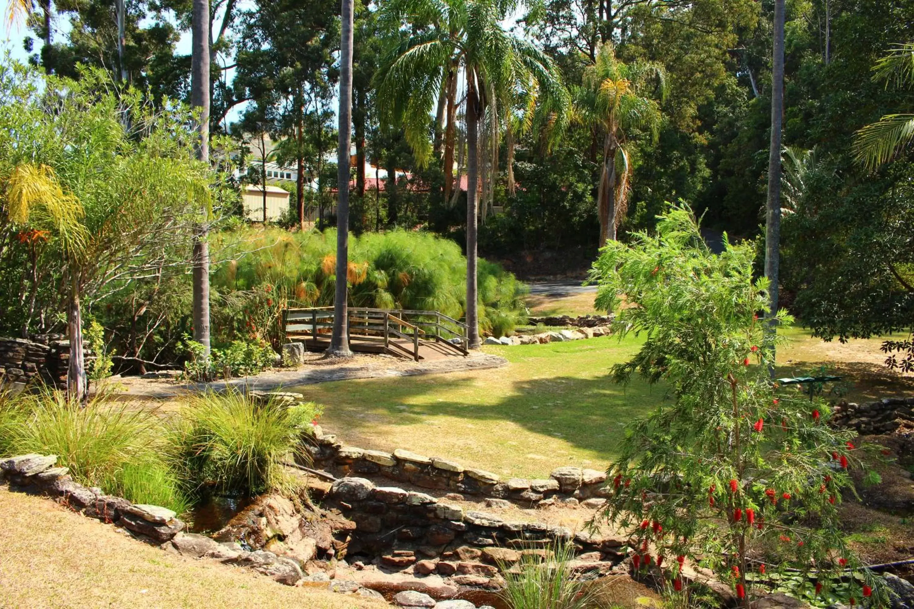 Garden in Korora Bay Village Resort