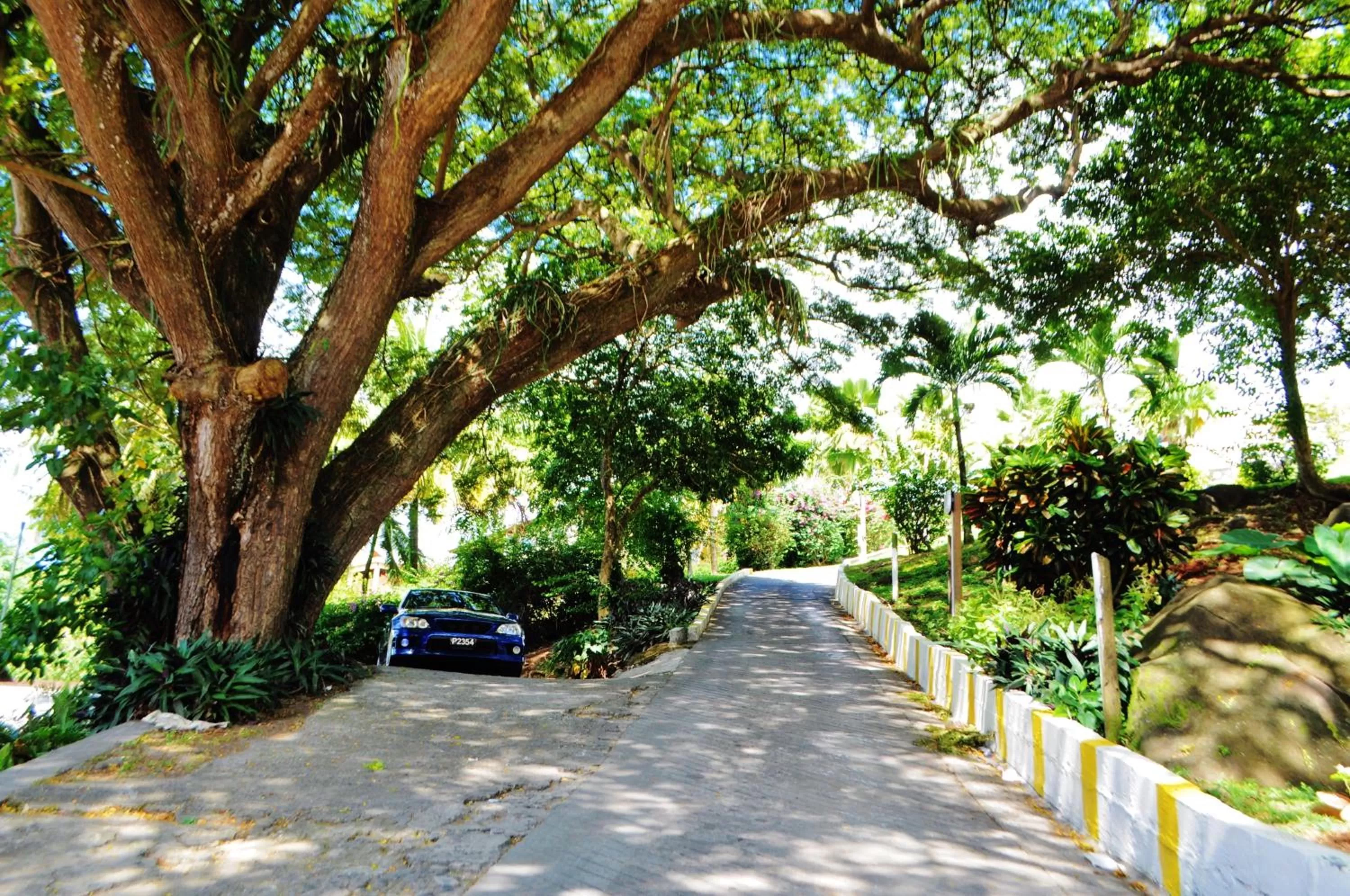 Day in Blue Lagoon Hotel and Marina Ltd