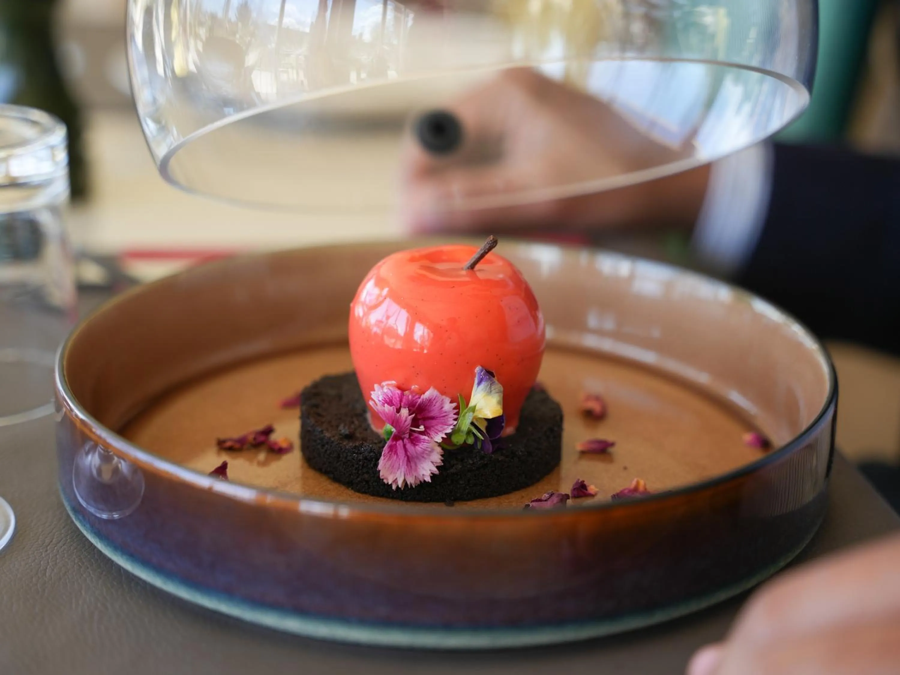 Food and drinks in Hôtel Mount Venturi - Aix-En-Provence Sainte-Victoire - Bar & Restaurant & Padel